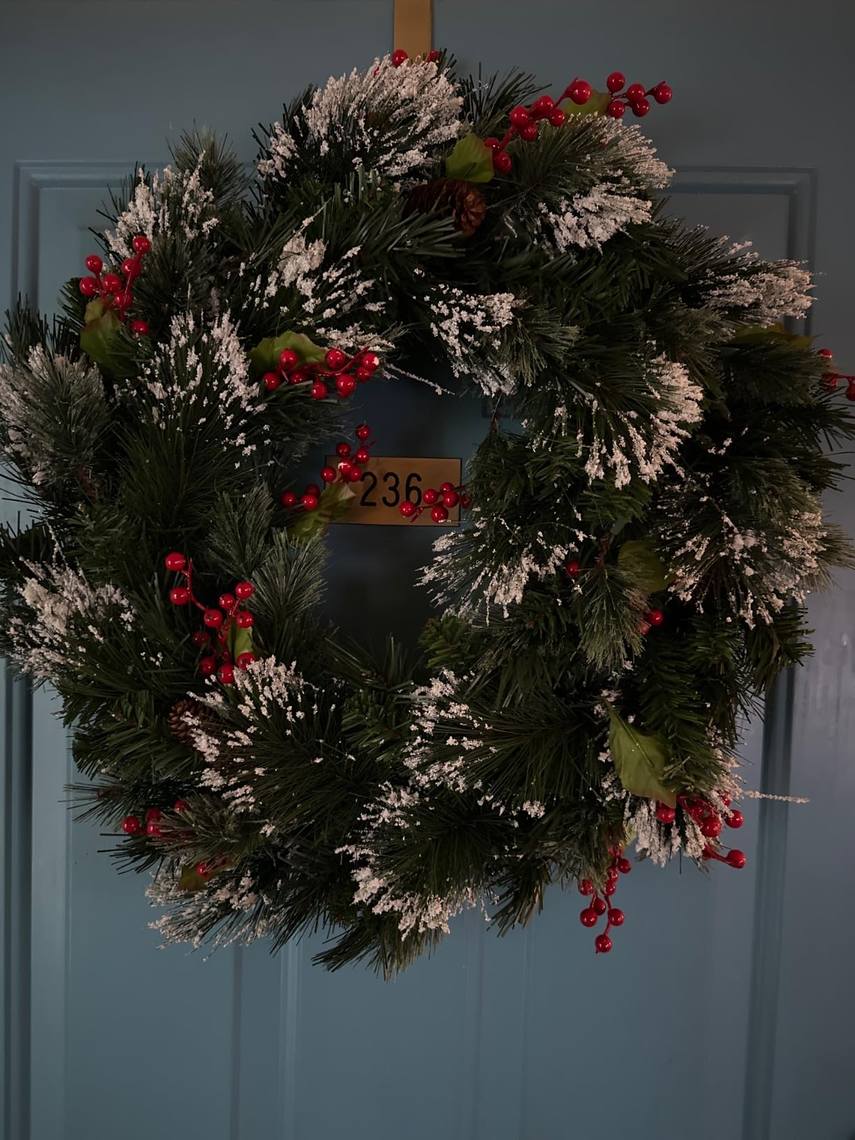 National Tree Company 24in Pre-Lit Wintry Pine Artificial Christmas Wreath | 50 Clear Lights, 113 Tips, Christmas Decoration with Pinecones, Red Berries, Snowy Bristle, Green customer photo 1