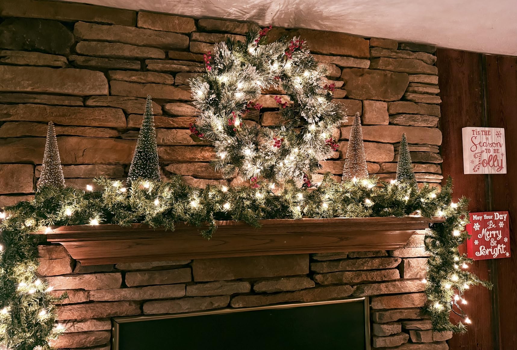 National Tree Company 24in Pre-Lit Wintry Pine Artificial Christmas Wreath | 50 Clear Lights, 113 Tips, Christmas Decoration with Pinecones, Red Berries, Snowy Bristle, Green customer photo 2
