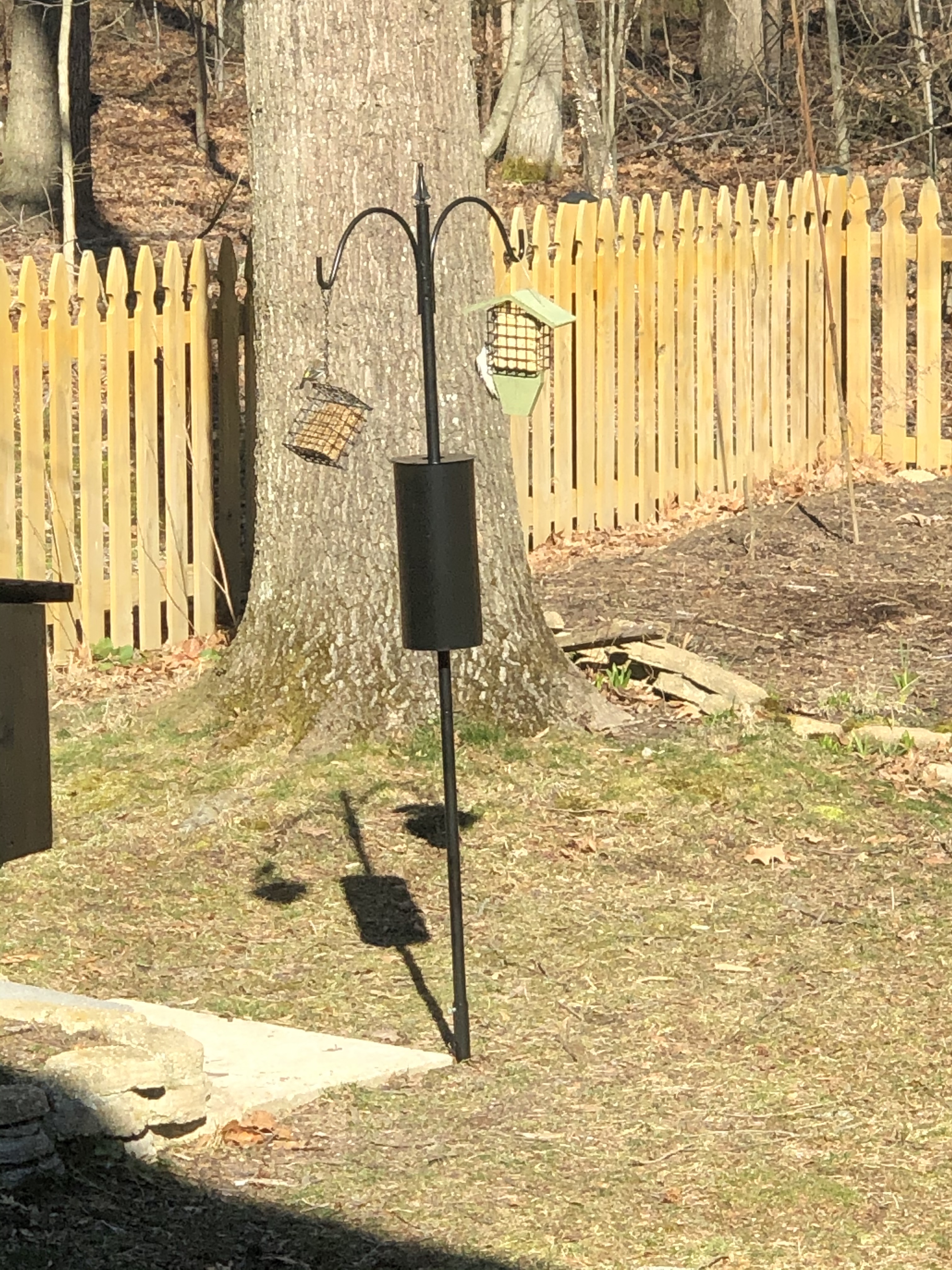 Birds Choice Erva 2 Arm Complete Bird Feeder Pole Set with Squirrel Baffle Steel Bird Feeder Mounting Pole Made in USA | Hangs 2 Feeders at Once, Baffle Blocks Climbing Squirrels, Freestanding Backyard Setup customer photo 2