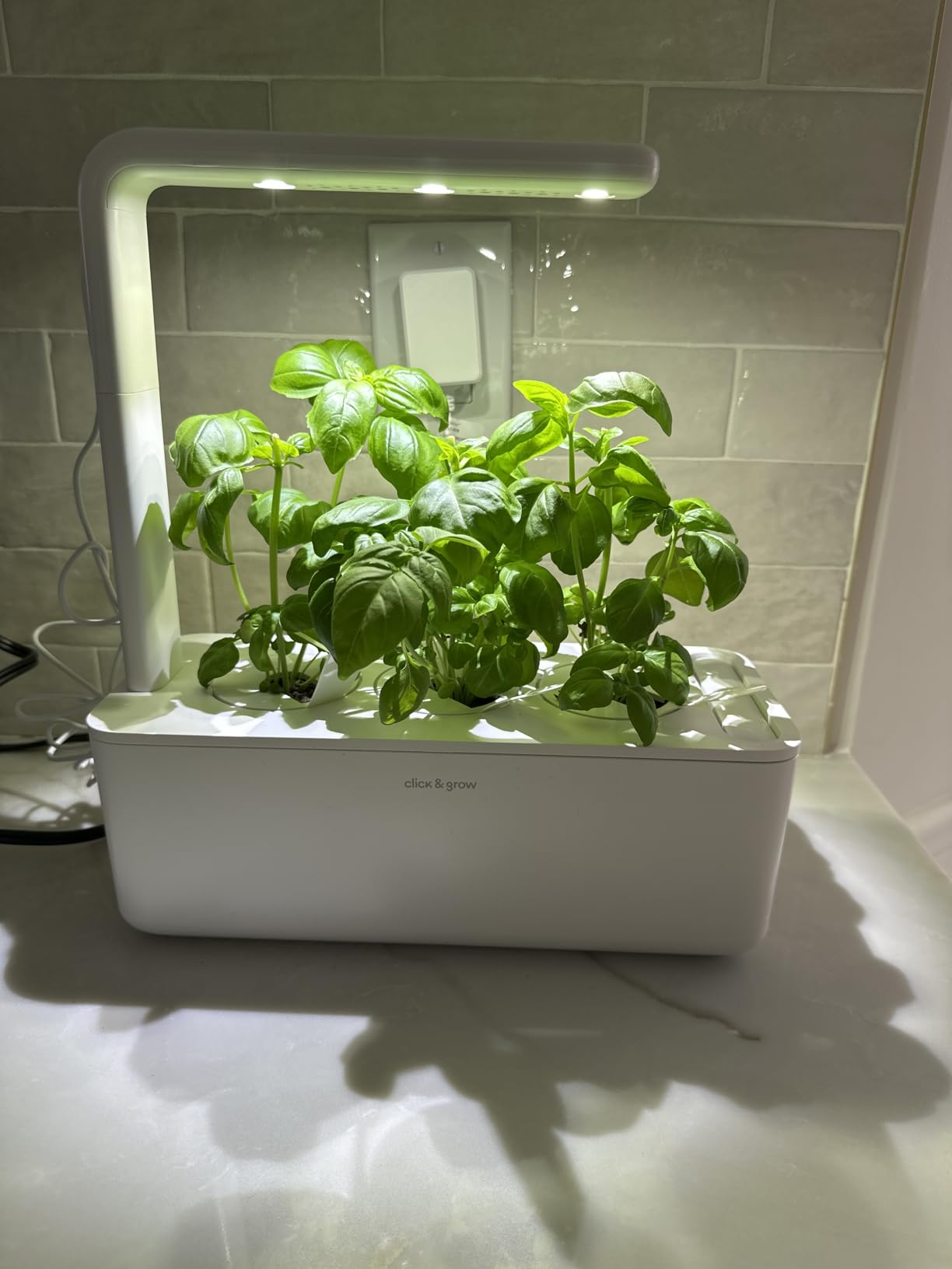 Click & Grow Indoor Herb Garden Kit with Grow Light | Smart Garden for Home Kitchen Windowsill | Easier Than Hydroponics Growing System (3 Basil Pods Included) customer photo 1