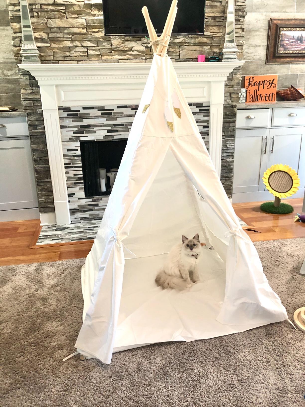 little dove Teepee Tent for Kids Foldable Teepee Play Tent with Carry Case, Banner, Fairy Lights, Olives Branches, Four Poles Style Raw White Color - New Version Tiny House customer photo 2