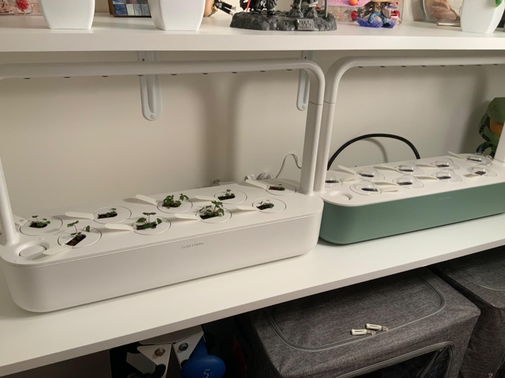 Click & Grow Smart Garden 9 Indoor Herb Garden Kit with Grow Light, Gray | Easier than a hydroponic growing system. Patented Smart Soil. Starter kit (basil, tomato, lettuce) customer photo 2