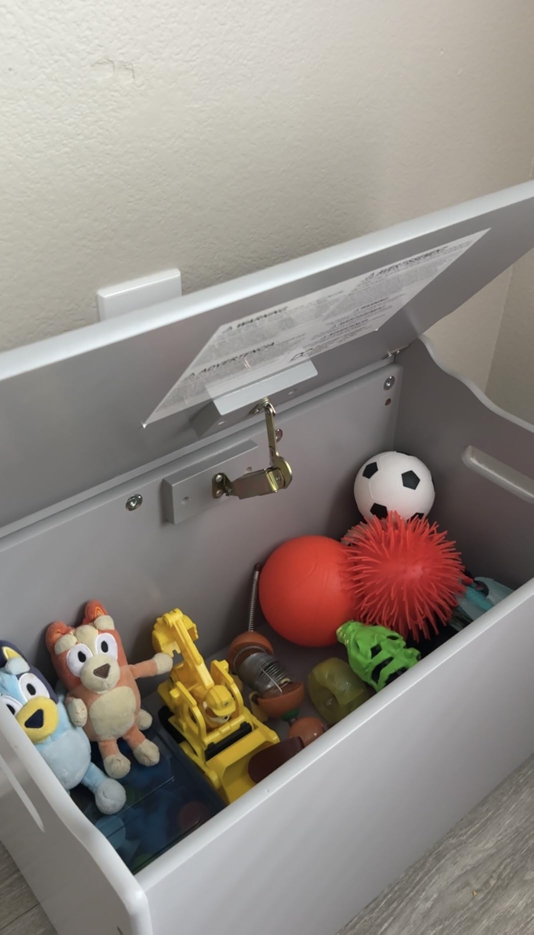 Delta Children MySize Deluxe Toy Box, Bianca White customer photo 1
