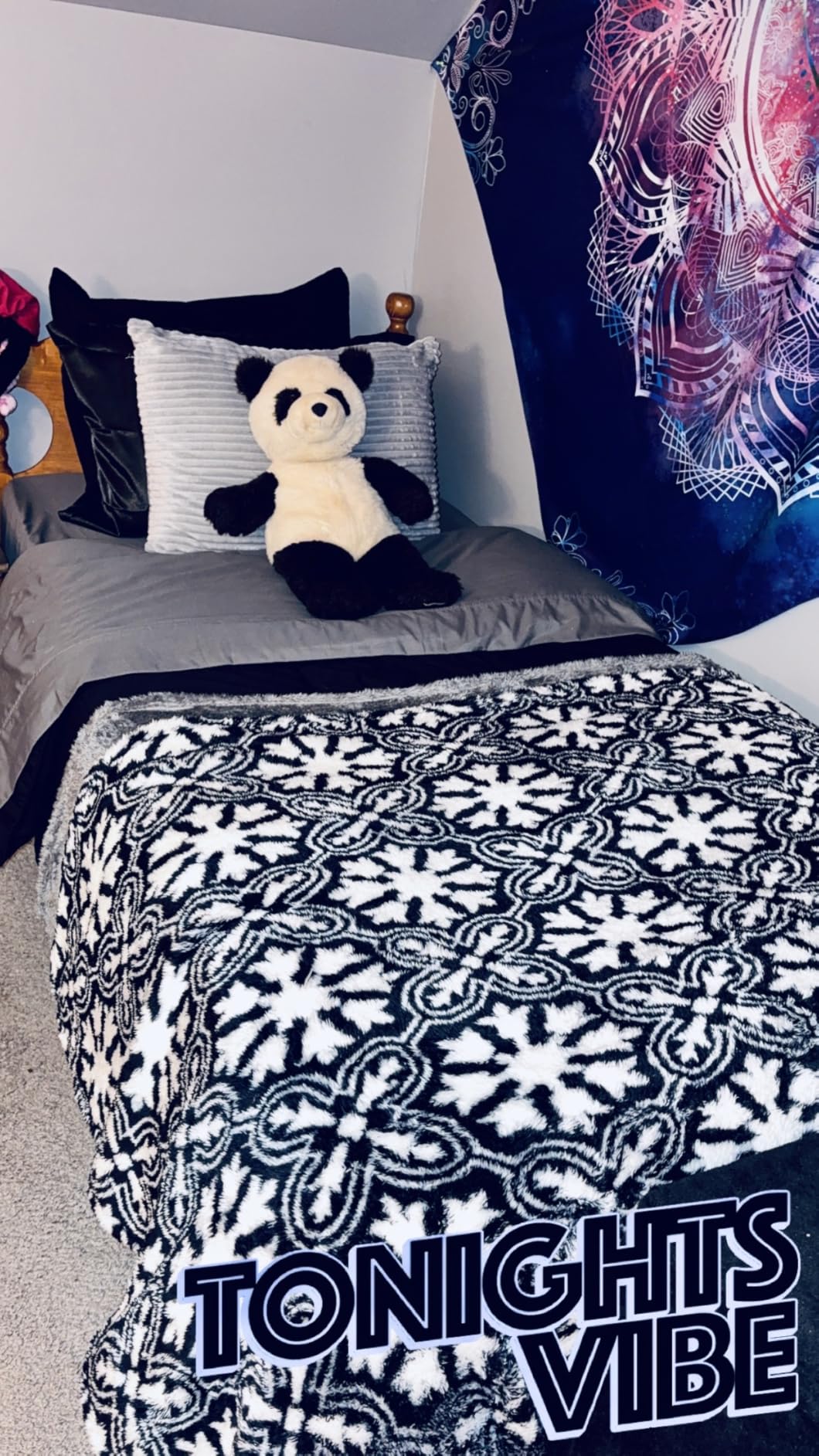 Bare Home Bed-in-A-Bag 7 Piece Comforter & Sheet Set - Queen - Goose Down Alternative - Ultra-Soft 1800 Premium - Bedding Set (Queen, Grey/Grey) customer photo 1