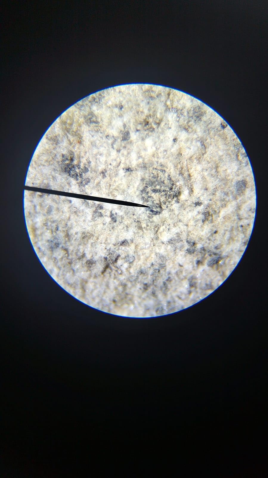 SWIFT Compound Monocular Microscope SW200DL with 40X-1000X Magnification, Dual Light, Precision Fine Focus, Wide-Field 25X Eyepiece and Cordless Capability for Student Beginner customer photo 2