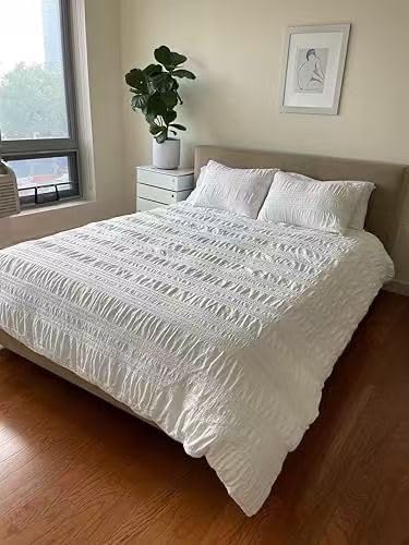 Premium Feathers Down Duvet Insert Comforter Queen Size Heavyweight Thickened Winter White 100% Cotton Cover with Corner Tabs (90x90, 60 oz) customer photo 1