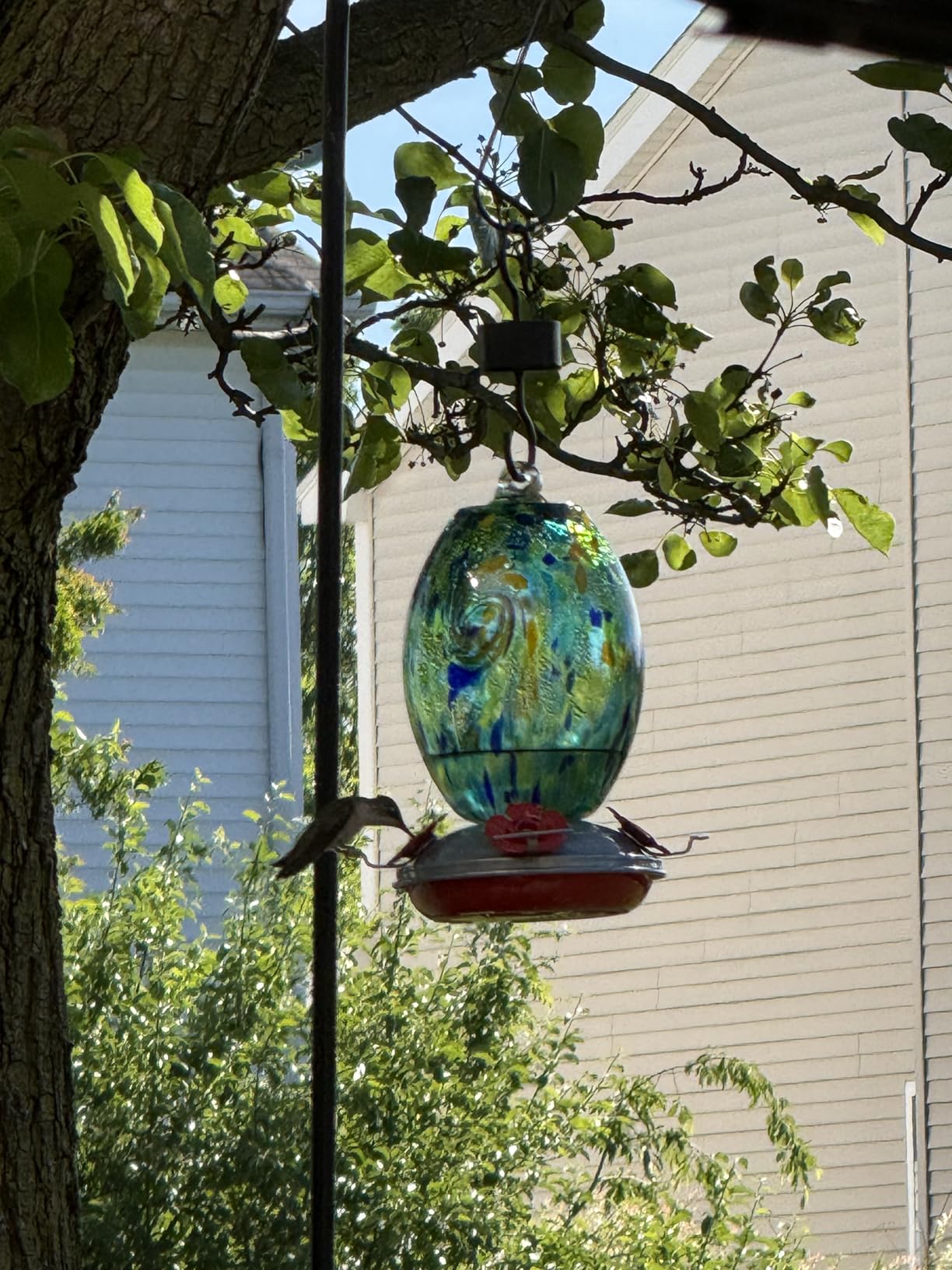 Muse Garden Glass Humming Bird Feeders for Outdoors - 27OZ Blown Glass | Decorative Self Hanging Nectar Bird Feeder for Hummingbirds, Garden Patio Yard Use customer photo 1