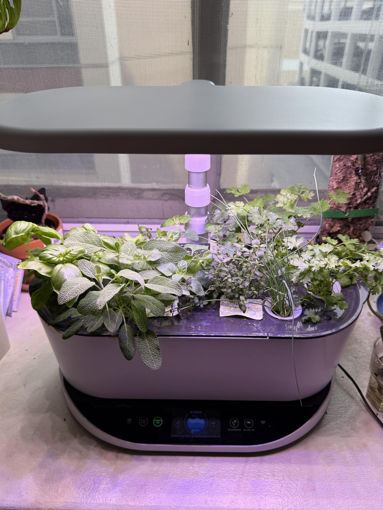 AeroGarden Bounty - Indoor Garden with LED Grow Light, WiFi and Alexa Compatible, Black customer photo 1