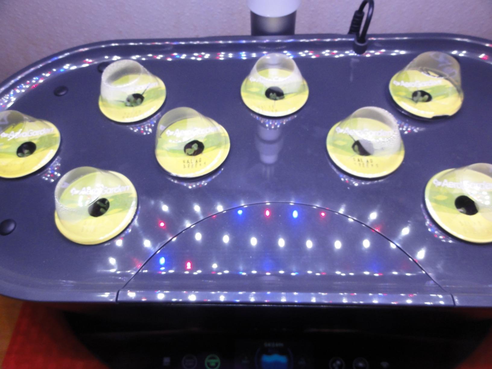 AeroGarden Bounty - Indoor Garden with LED Grow Light, WiFi and Alexa Compatible, Black customer photo 2