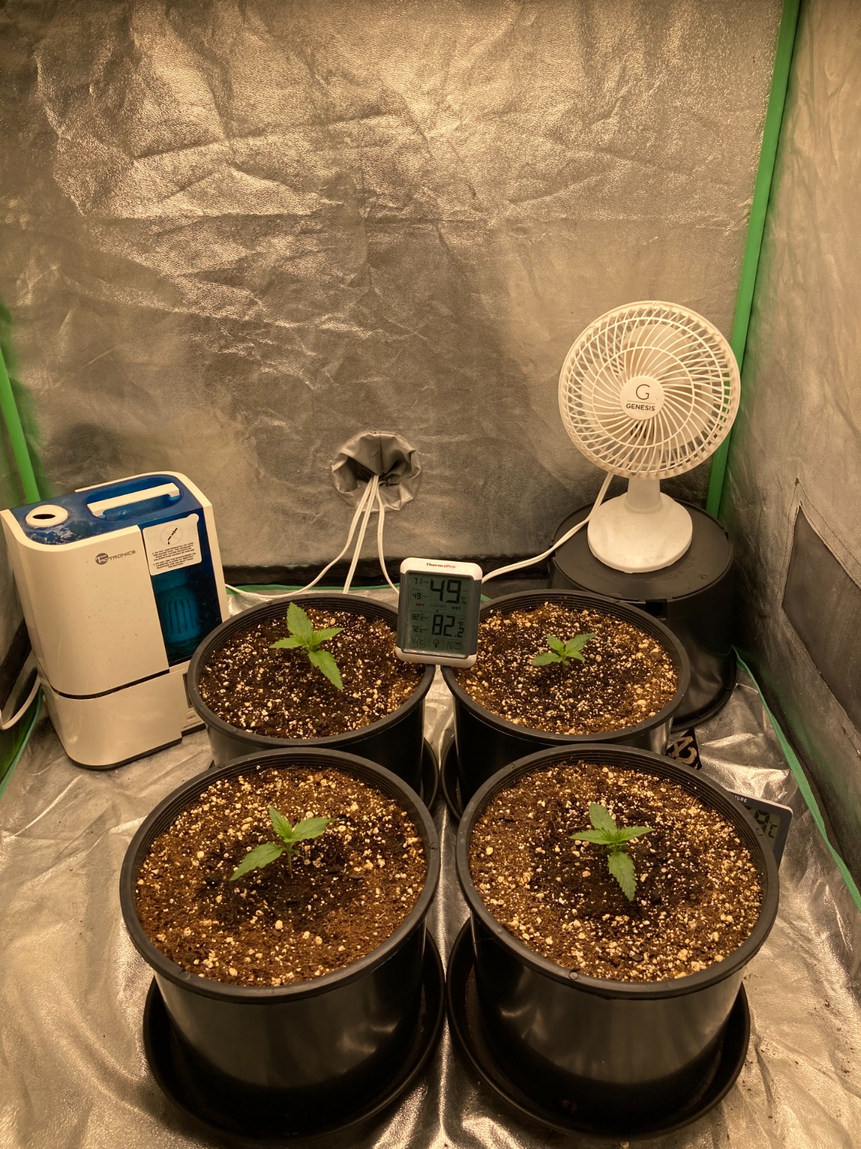 MARS HYDRO TS600 100W Upgraded Dimmable LED Grow Light, Full Spectrum Growing Lamp with New Diodes Layout for Indoor Plants Hydroponic Seedling Veg Bloom in 2x2 Grow Tent customer photo 2