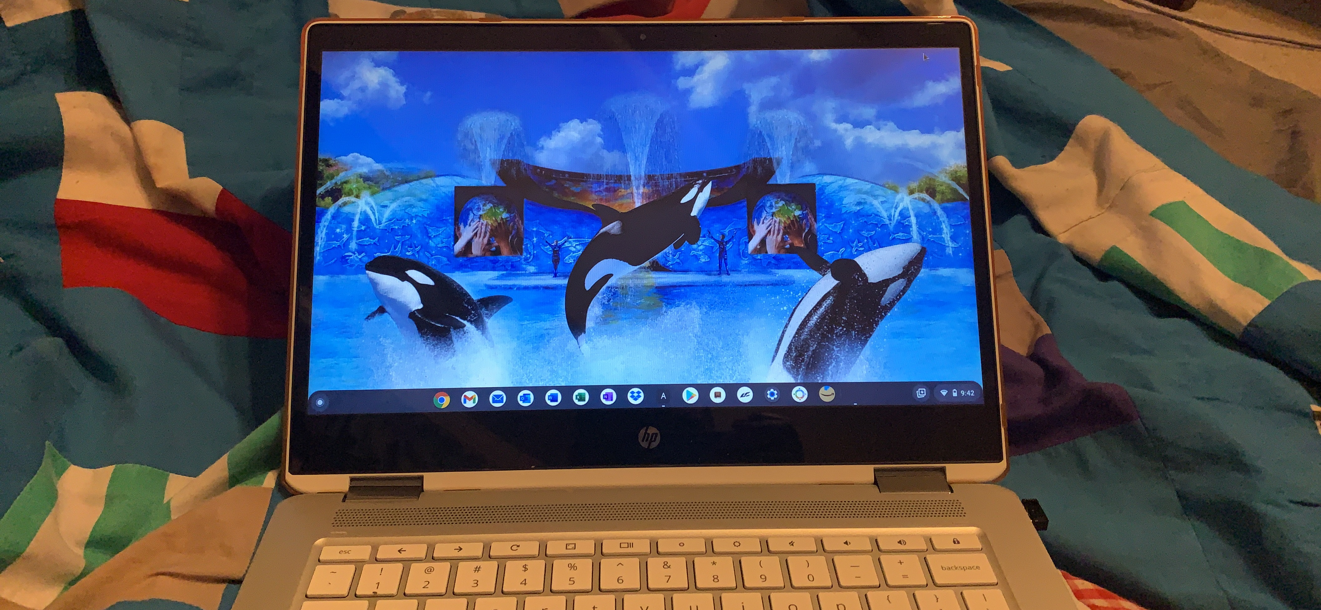 HP Chromebook x360 14-inch HD Touchscreen Laptop, Intel Celeron N4000, 4 GB RAM, 32 GB eMMC, Chrome (14b-ca0010nr, Ceramic White/Mineral Silver) customer photo 2