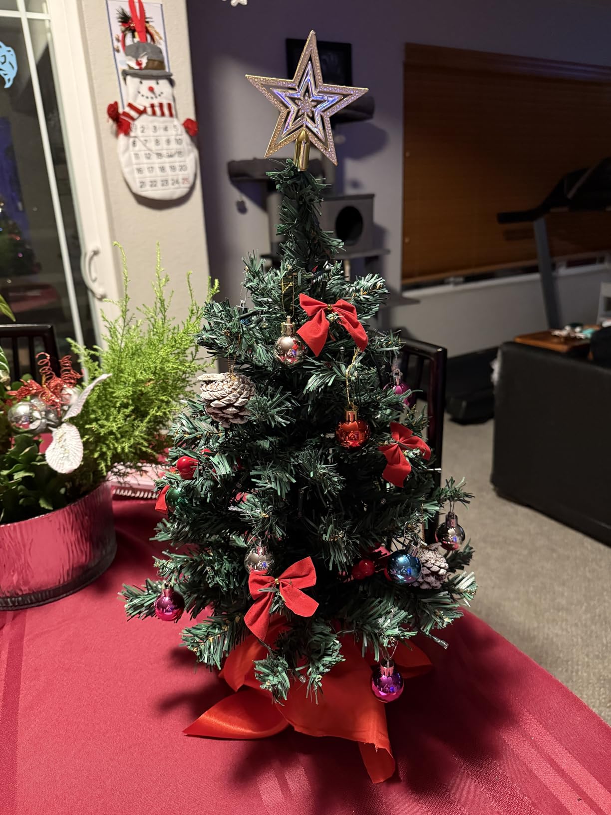 Juegoal 24 Inch Mini Christmas Tree Set, Table Top Artificial Christmas Trees with 50 LED Lights, Ornaments and Red Berries, Best DIY Christmas Decorations customer photo 2