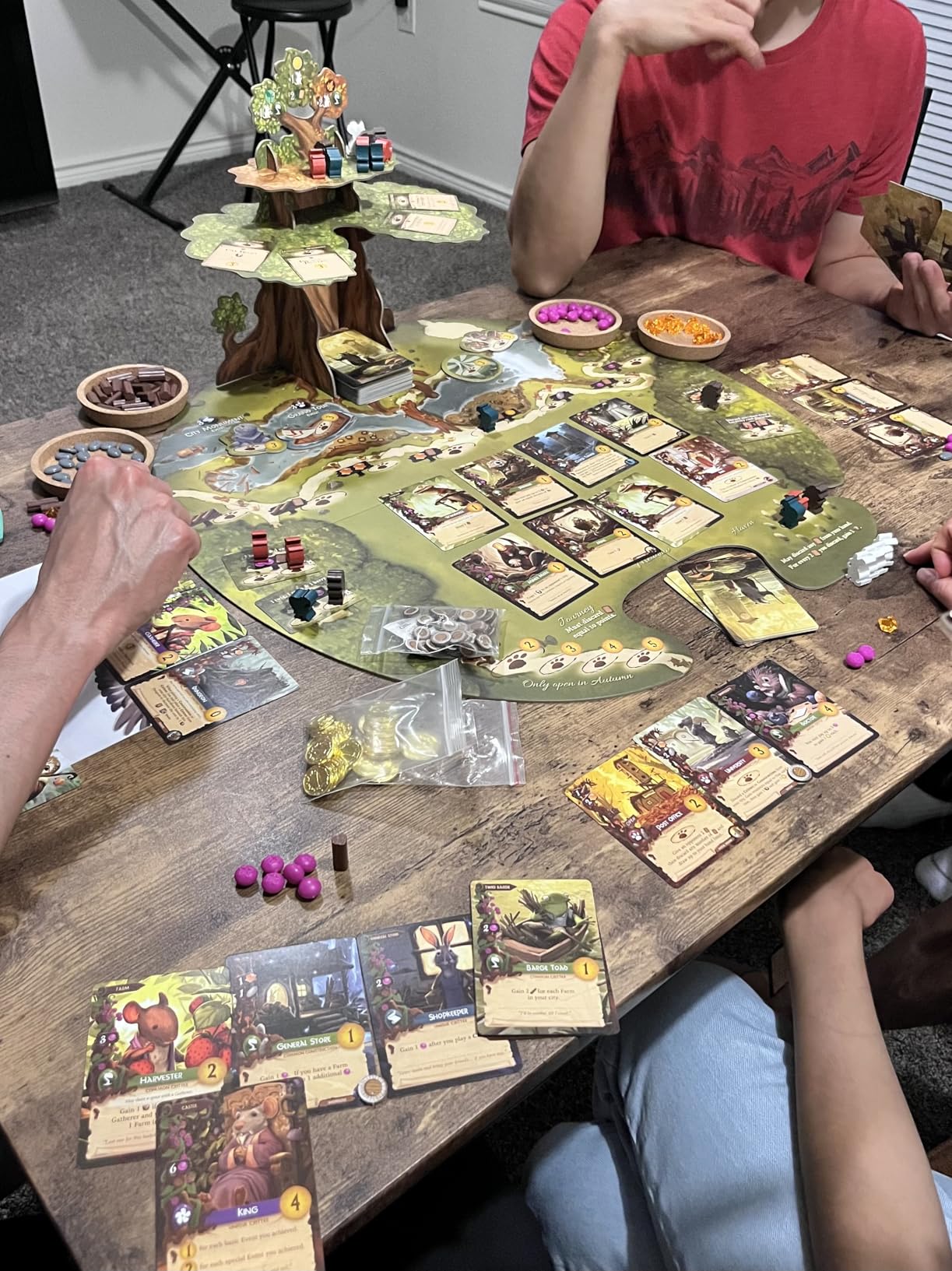 Everdell Collector's Edition Board Game - Worker Placement 1-4 Players customer photo 1