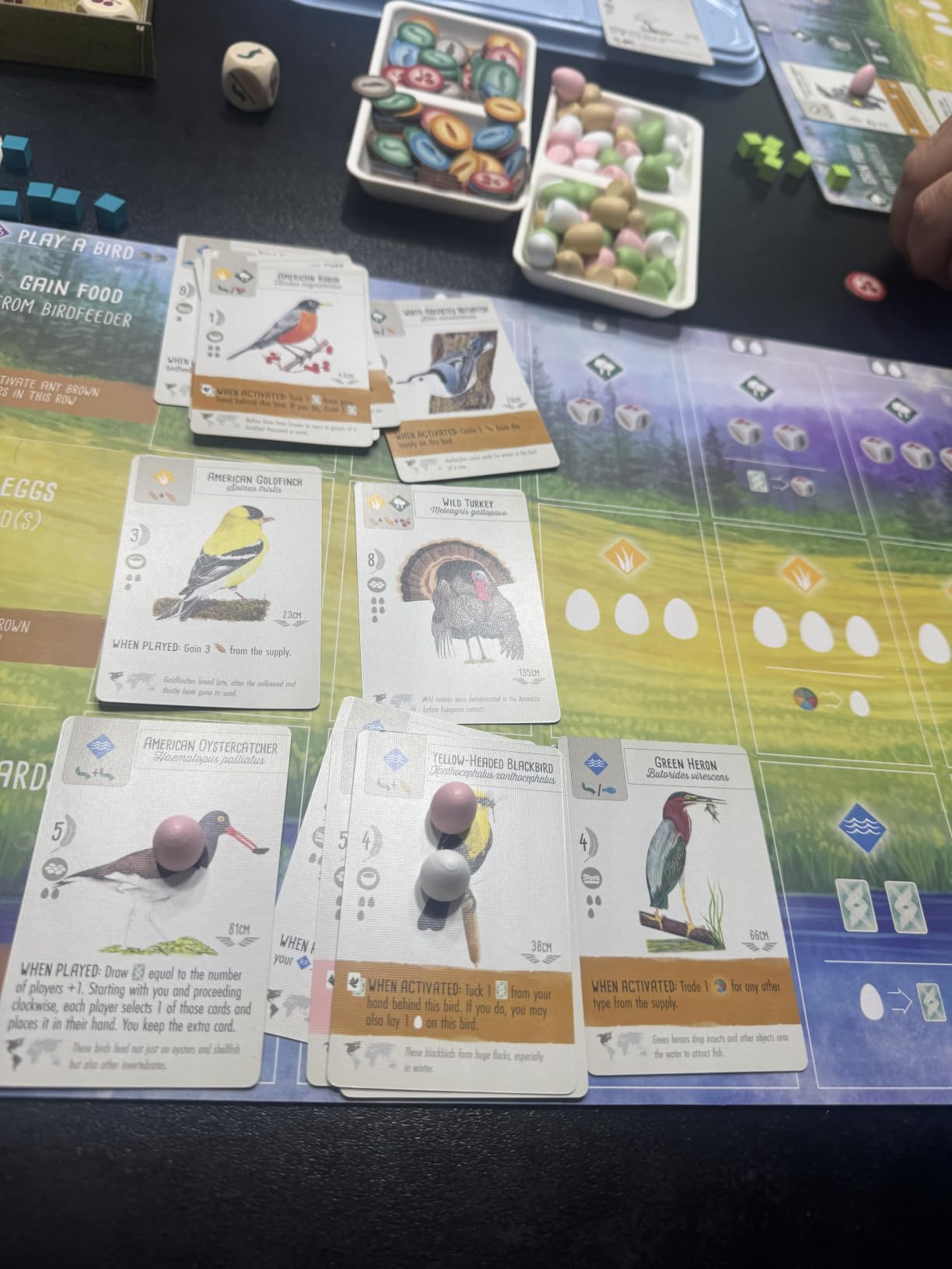 Stonemaier Games: Wingspan (Base Game) by Elizabeth Hargrave customer photo 1