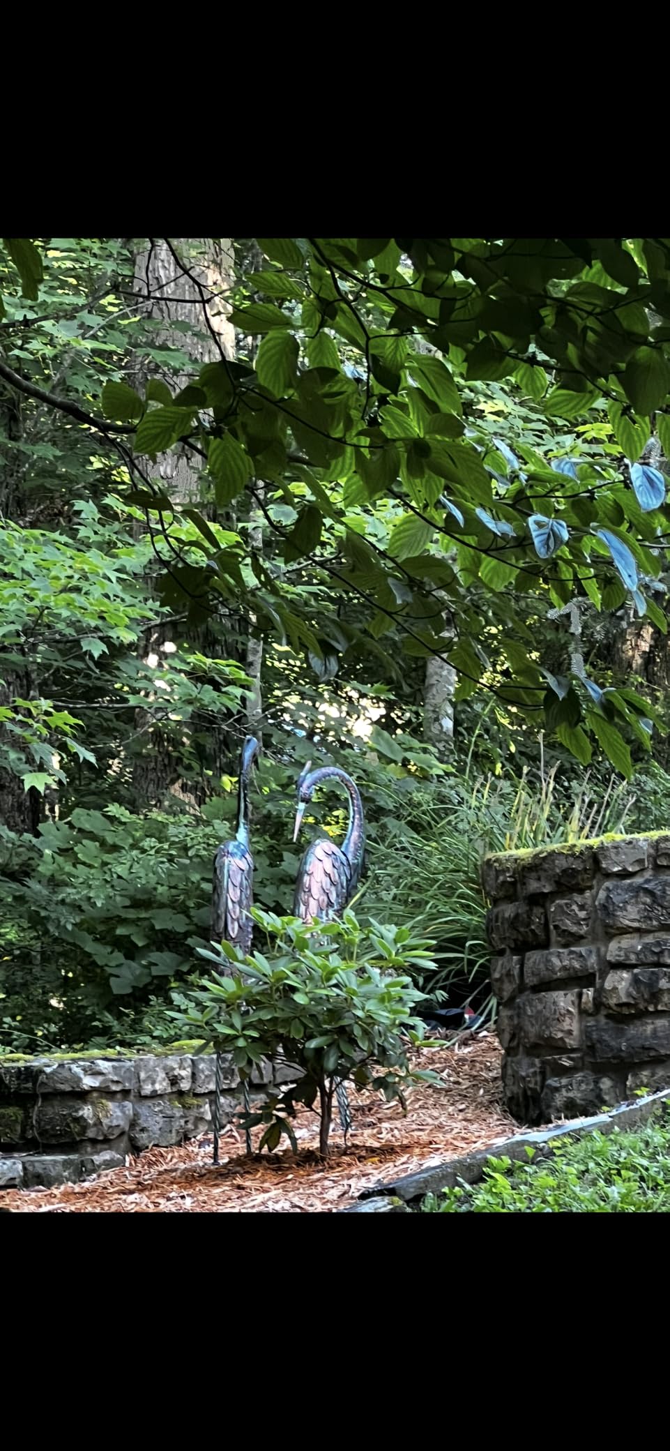 Kircust Garden Crane Statues, Standing Metal Patina Heron Decoy Weather-Resistant and Rustless Outdoor Statue, 42-46 Inch Bird Yard Art for Patio Lawn Pond, Set of 2 customer photo 1