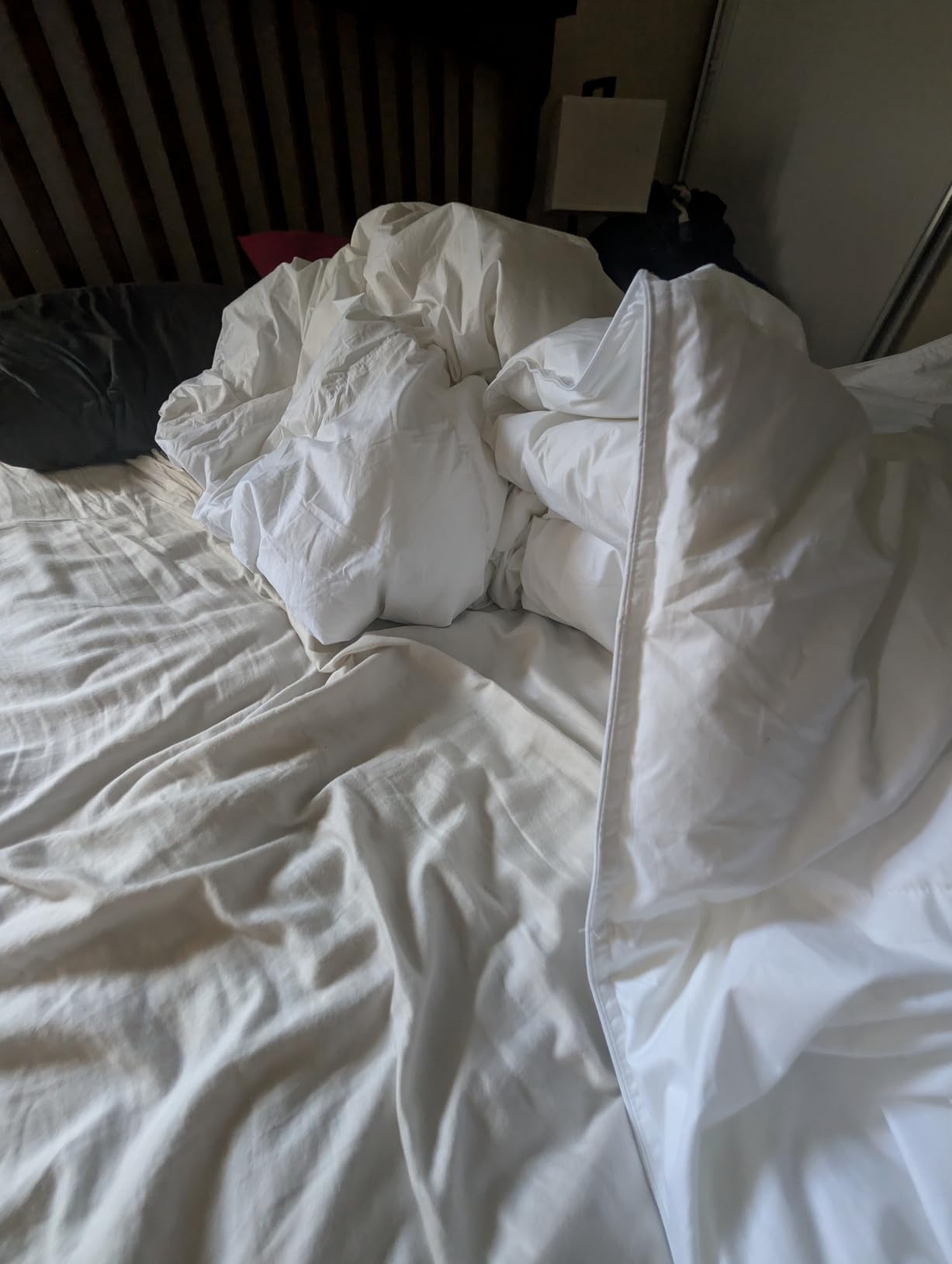 Serta Goose Feather Down Fiber Comforter King Size - 100% Cotton Cover Duvet Insert - Hotel Luxury Hypoallergenic Bedding Comforter All Season Medium Warmth 106 x 90 Inch White customer photo 1