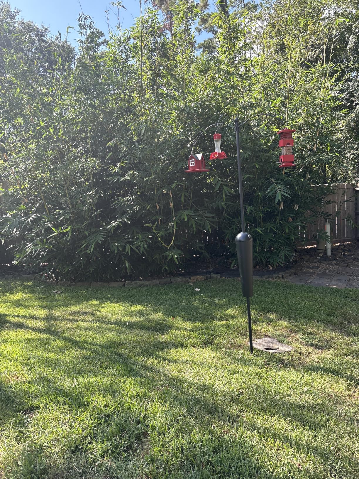 Sequoia Squirrel Proof Bird Feeder Pole System with Patented Spring Baffle, 4 Hanging Stations, Heavy Duty Galvanized Steel with Auger, Adjustable Arms customer photo 1