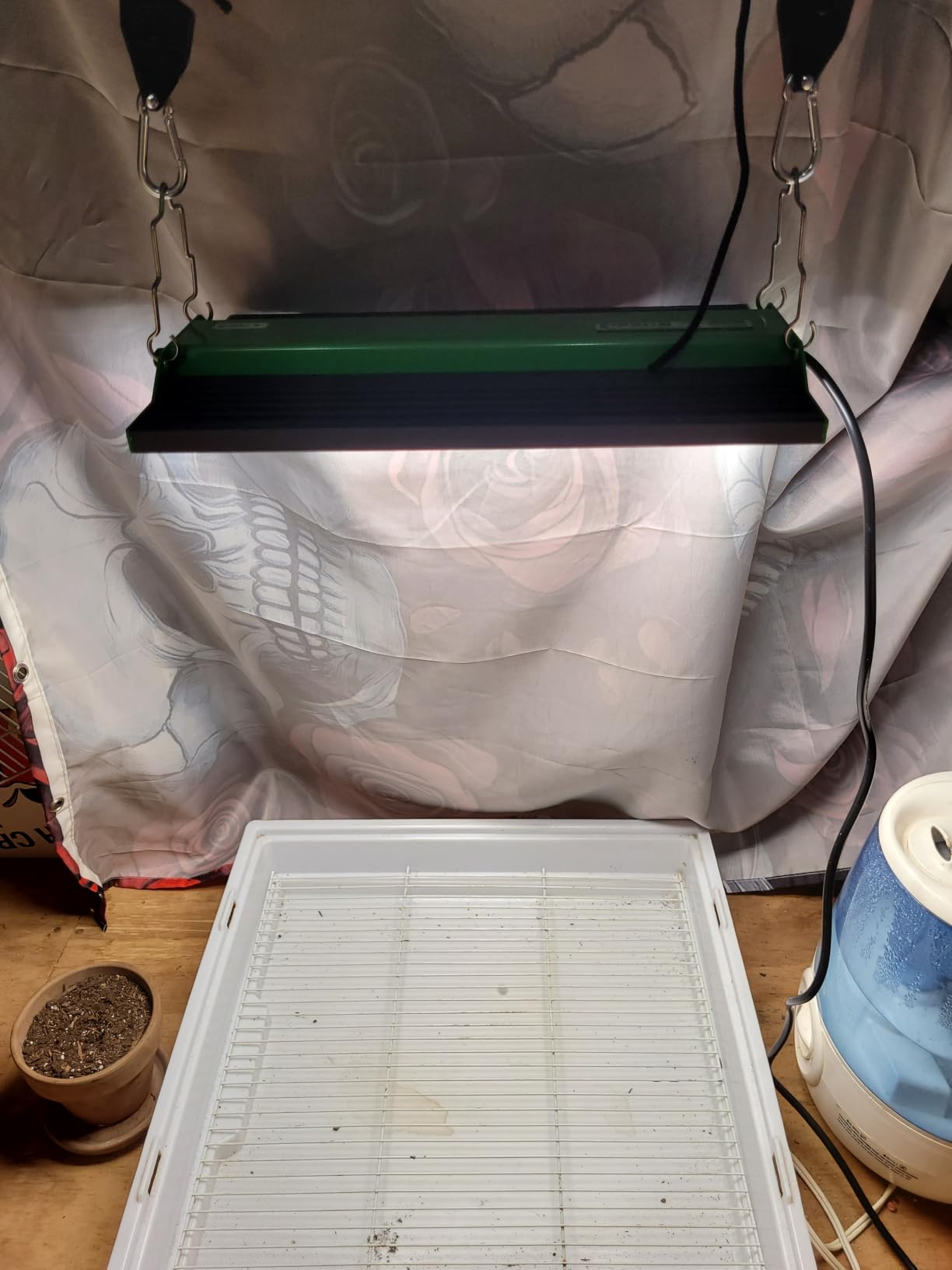 VIPARSPECTRA P1000 LED Grow Light for Seed Starting Vegetables Bloom, Dimmable Plant Lights Dimming Daisy Chain Grow Lights for Indoor Plants Full Spectrum for 3x3/2x2 Grow Tent customer photo 2
