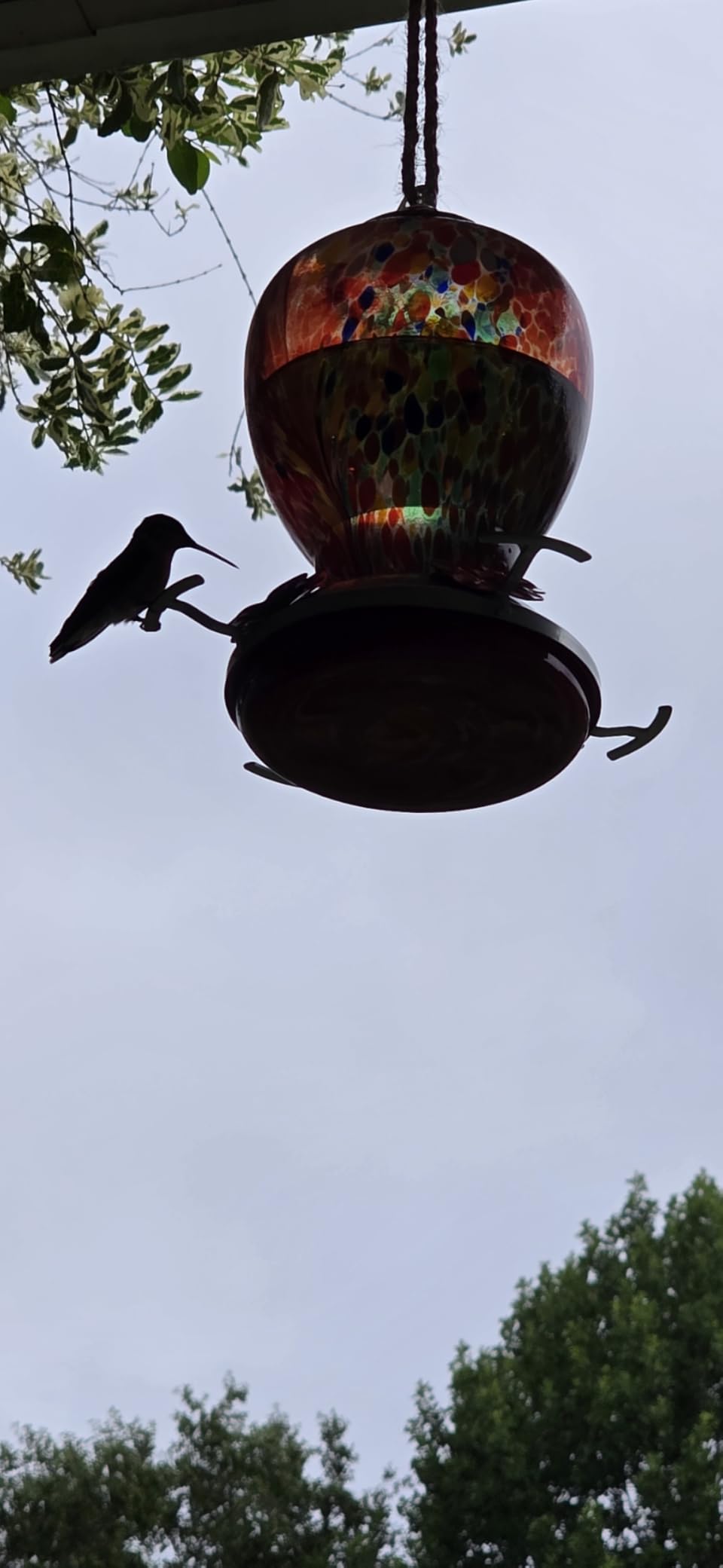 WOSIBO Hummingbird Feeder for Outdoors Patio Large 32 Ounces Colorful Hand Blown Glass Hummingbird Feeder with Ant Moat Hanging Hook, Rope, Brush and Service Card (RED-Firework) customer photo 1