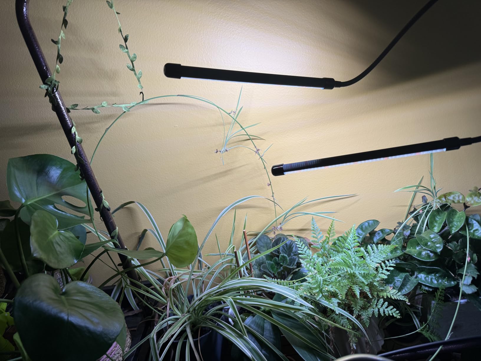 GooingTop LED Grow Light,6000K Full Spectrum Clip Plant Growing Lamp with White Red LEDs for Indoor Plants,5-Level Dimmable,Auto On Off Timing 4 8 12Hrs customer photo 1