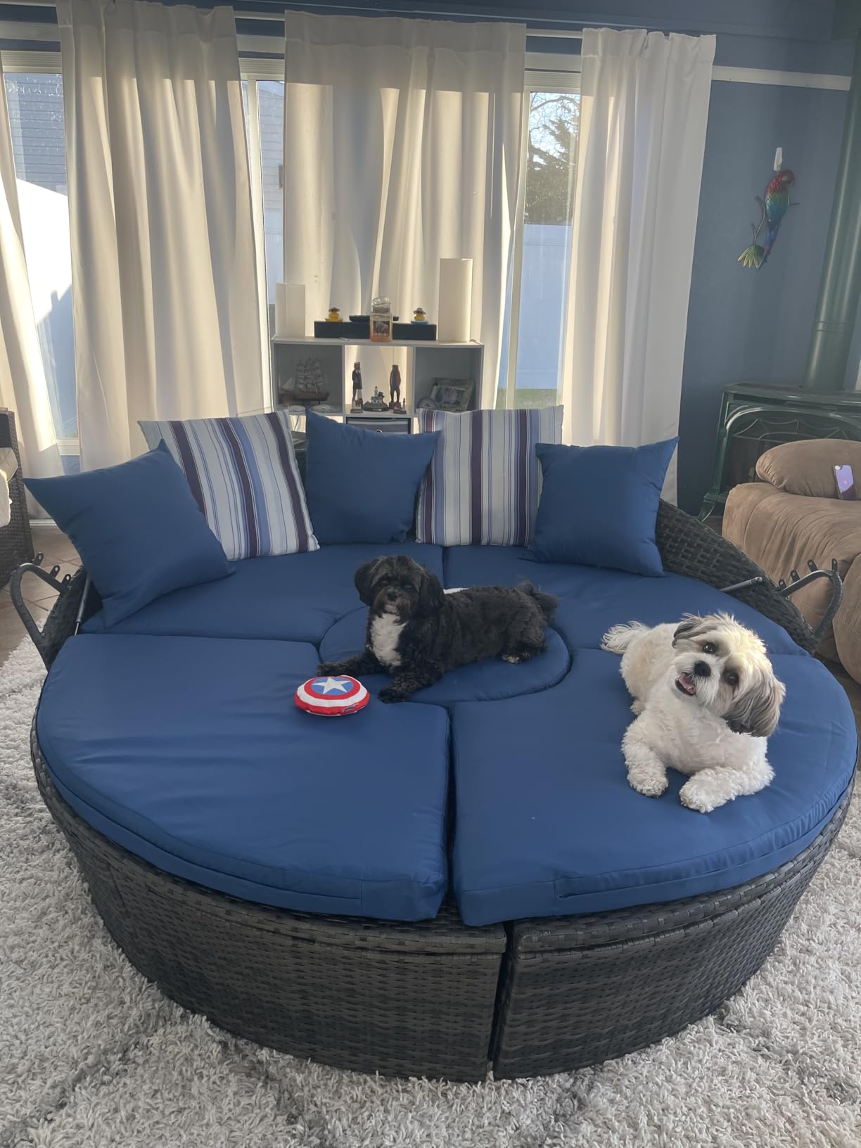 Tangkula Patio Round Daybed with Retractable Canopy, Outdoor Wicker Rattan Furniture Sets, Sectional Cushioned Sofa Set with Height Adjustable Coffee Table, Rattan Conversation Sets (Black) customer photo 1