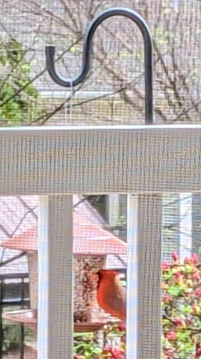 Hanizi Bird Feeder Outdoor Hanging for Wild Bird Seed, Brown customer photo 2
