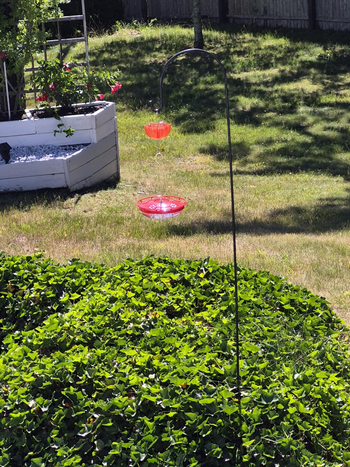 eWonLife Hummingbird Feeders for Outdoors, 2 Pack 16 oz Leak-Proof Dish-Style Humming Bird Feeder with Built-in Ant Moat, 5 Bee Proof Feeding Ports, Easy Clean, BPA Free Plastic, Hanging Garden Decor customer photo 2