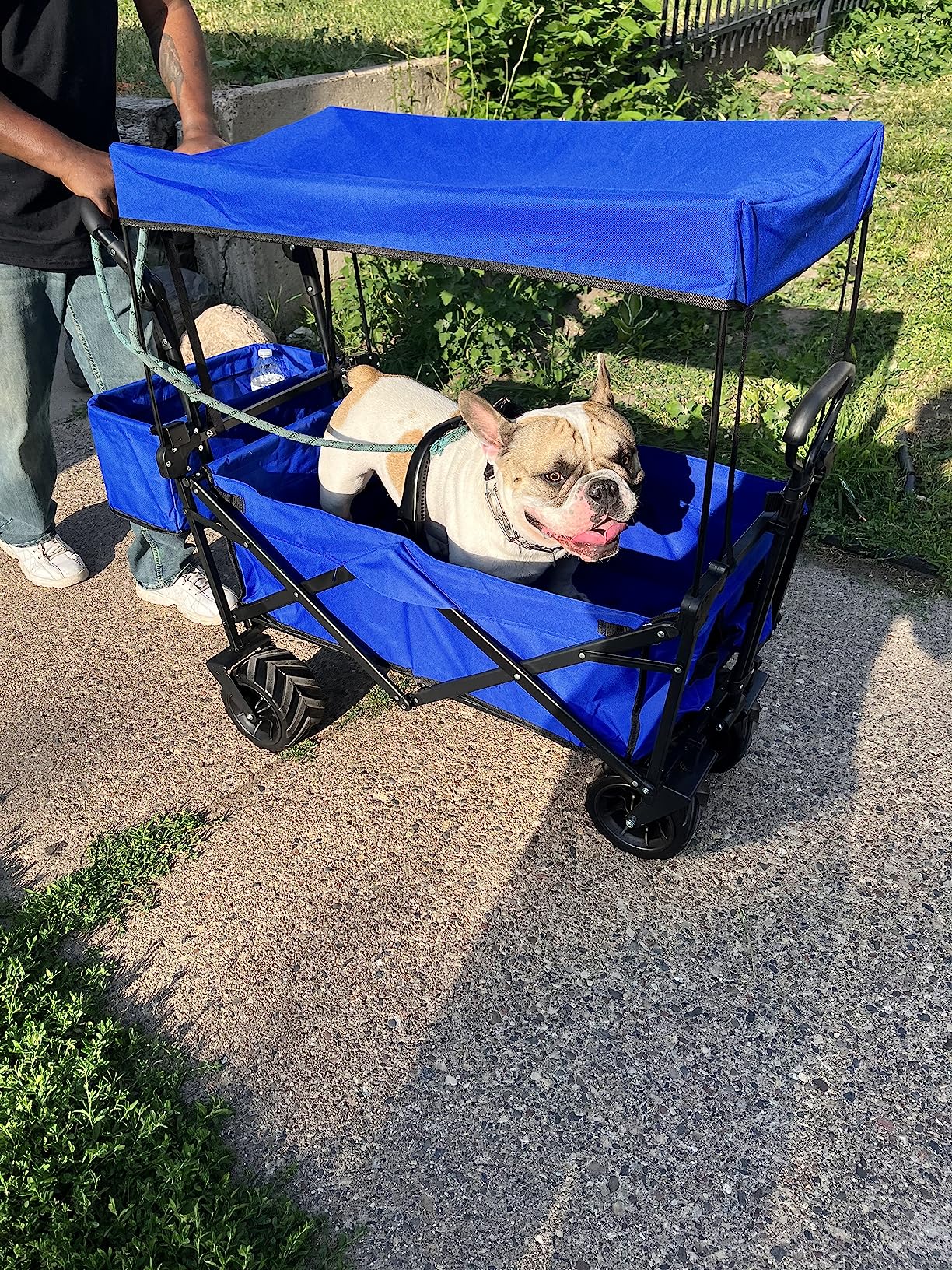 Happbuy Collapsible Wagon with Removable Canopy, 220lbs Heavy Duty Foldable Beach Wagon with Big Wheels customer photo 1