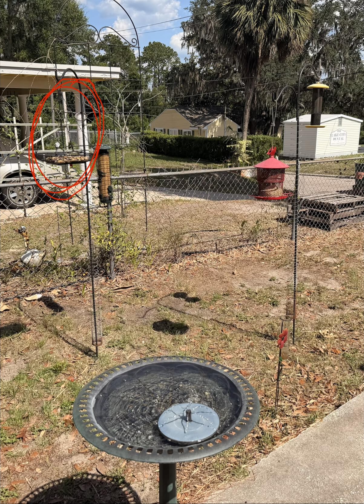 Hanging Bird Feeder Tray Metal Mesh Platform Seed Feeder with Durable Chains for Outdoors Garden Great for Attracting Birds (1 Pack) customer photo 1