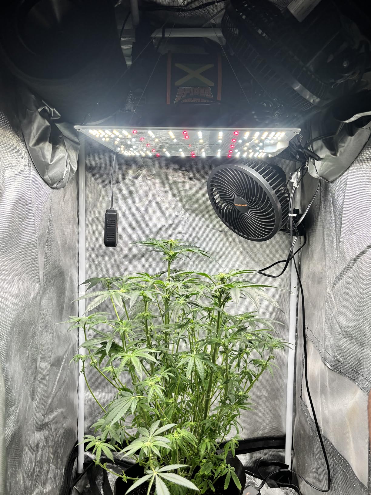 Spider Farmer Air Filtration Kit 4
