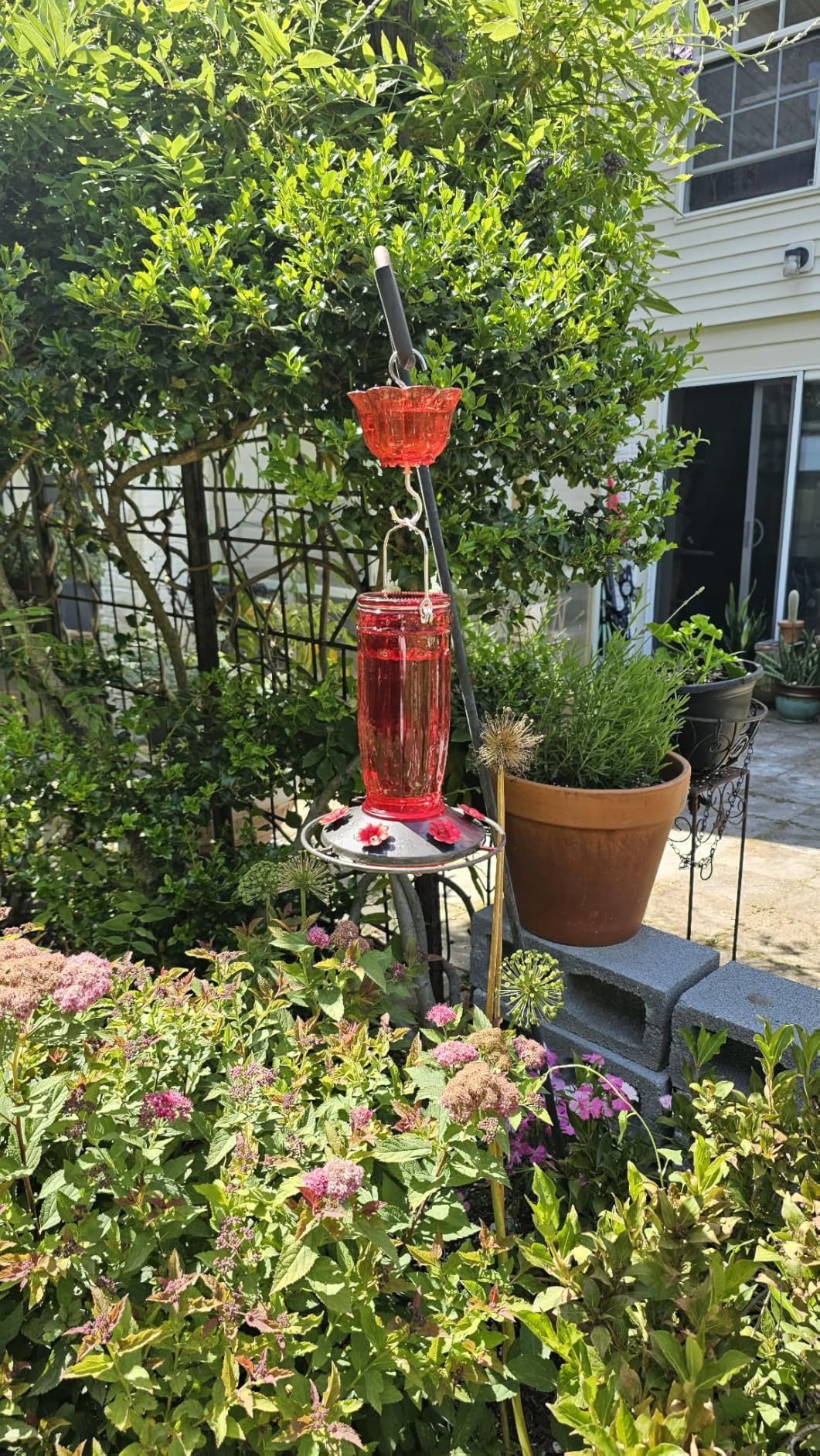 Kingsyard Glass Hummingbird Feeder for Outdoors Wild Bird Feeder with 6 Feeding Ports Hanging for Garden Yard, Red (Ant Moat Included) customer photo 2