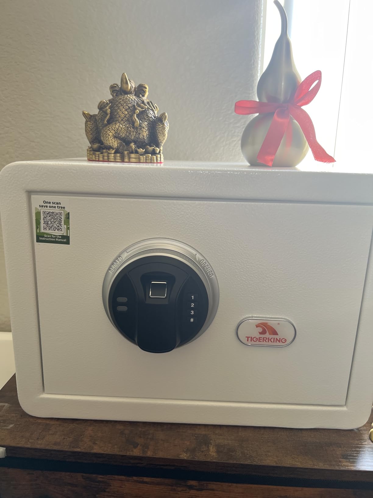 TIGERKING Biometric Small Safe for Home, 20 lb Fingerprint Safe with Key and Keypad, Dual Locking Bolts, 1.2 Cu Ft, Removable Shelf, White customer photo 1