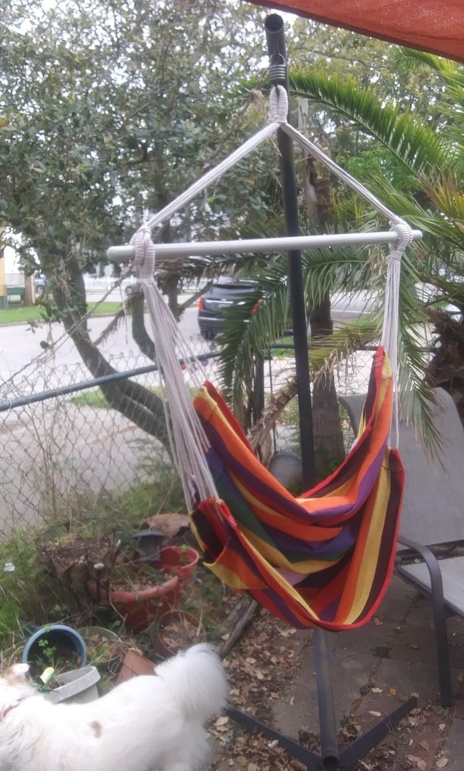 MIZTLI Hammock Chair Swing Indoor Hammock for Bedroom - Max 500 Lbs-Steel Spreader Bar with Anti-Slip Rings-Indoor & Outdoor customer photo 2