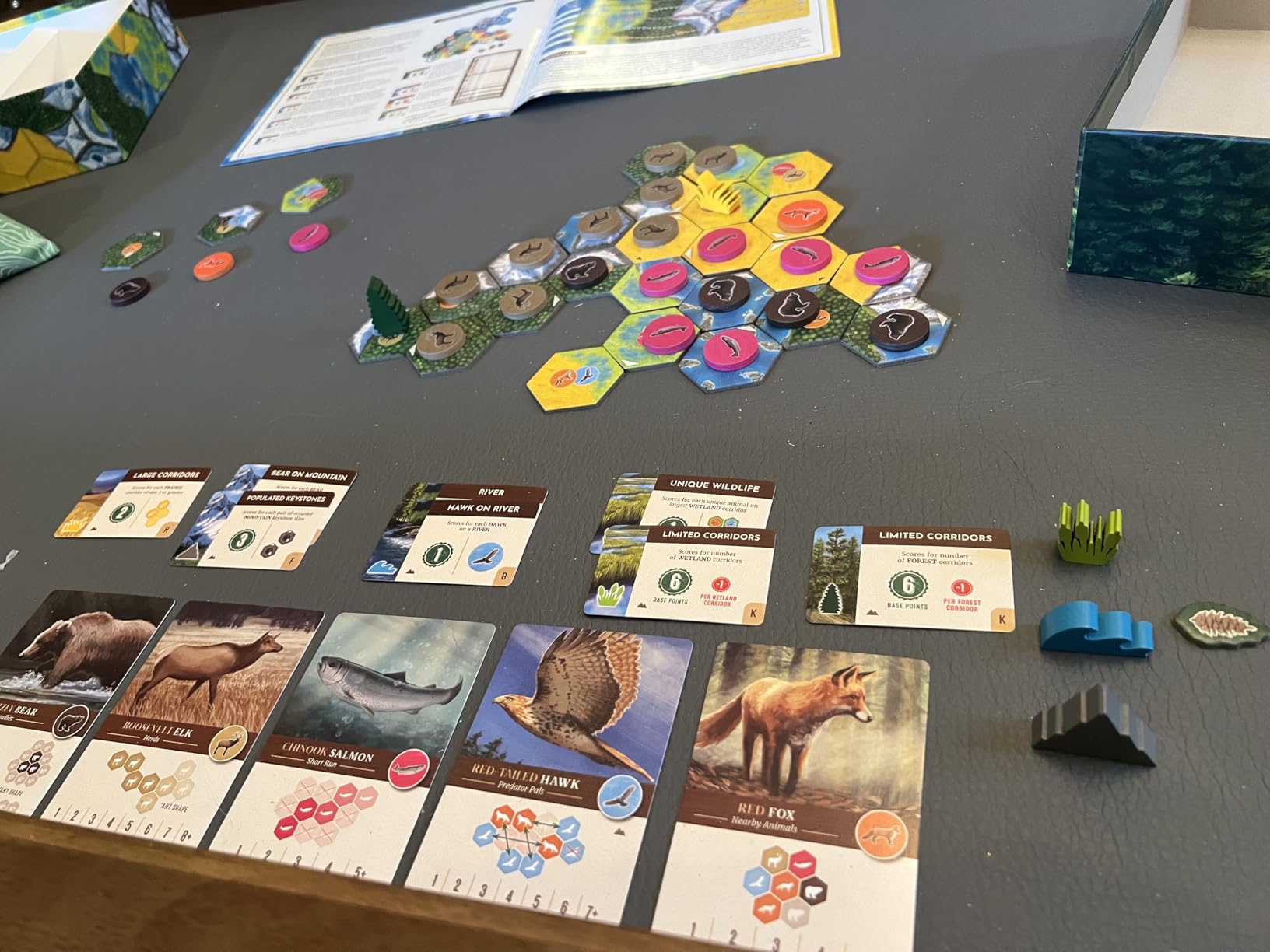 Cascadia, Award-Winning Cozy Nature Tile-Laying Strategy Board Game customer photo 1