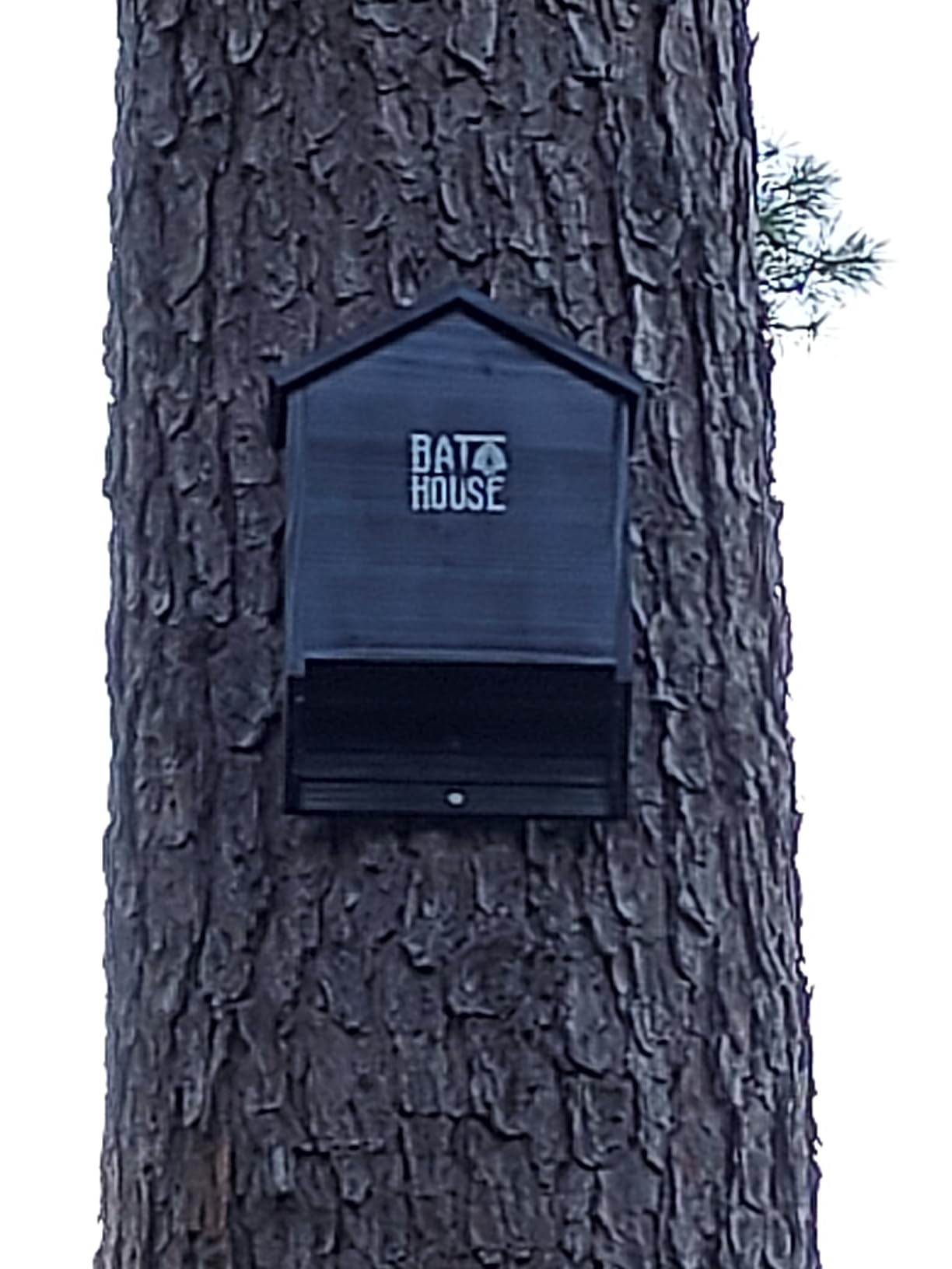 Bat Houses for Outdoors for Tree, 2 Chamber Bat Boxes for Outside to Attract Bats to Land and Roost, Durable and Easy to Hang customer photo 1