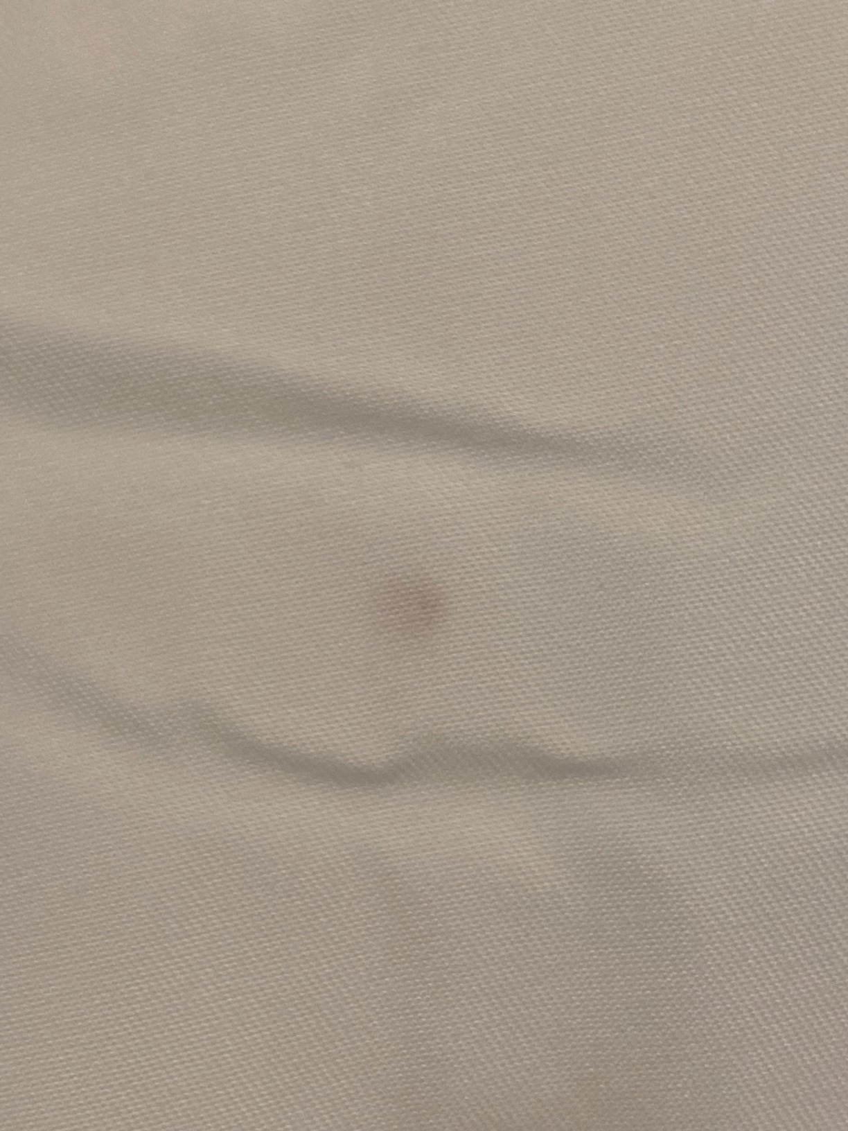 Serta Down Illusion All Season Hypoallergenic Down Alternative Comforter with Corner Loops, Twin/Twin XL, White customer photo 1