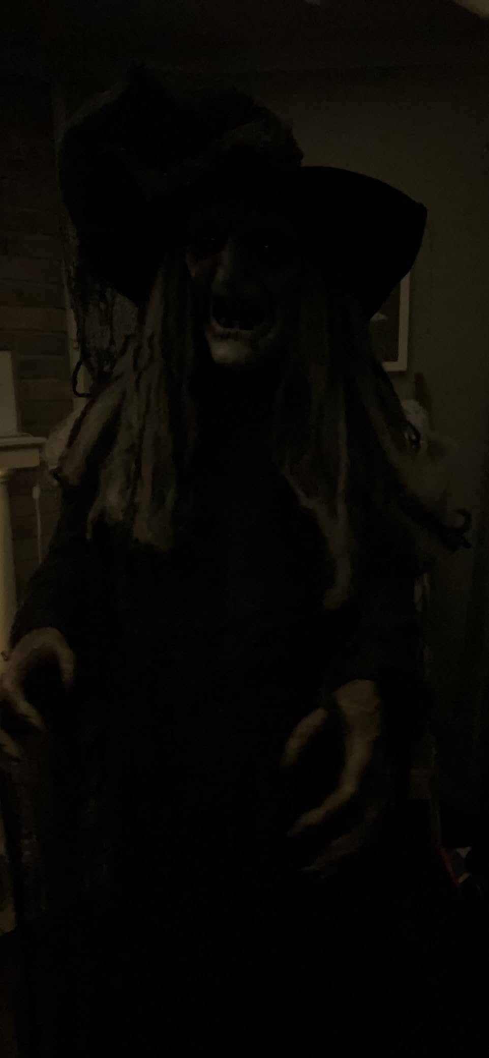 Haunted Hill Farm Life-Size Animatronic Scary Talking Witch with Touch Activated Lights and Sound, Indoor or Covered Outdoor Creepy Halloween Decorations for Home or Haunted House, Battery Operated customer photo 2