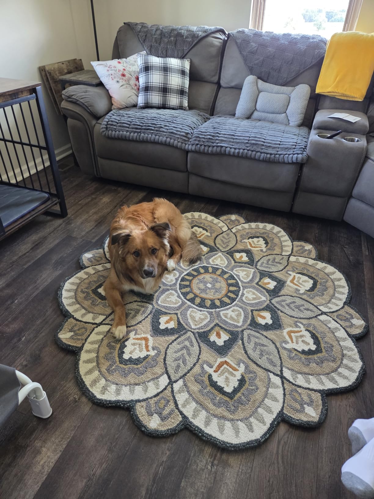 SAFAVIEH Novelty Collection 7' Round Red/Taupe NOV604Q Handmade Floral Premium Wool Entryway Foyer Living Room Bedroom Kitchen Area Rug customer photo 1