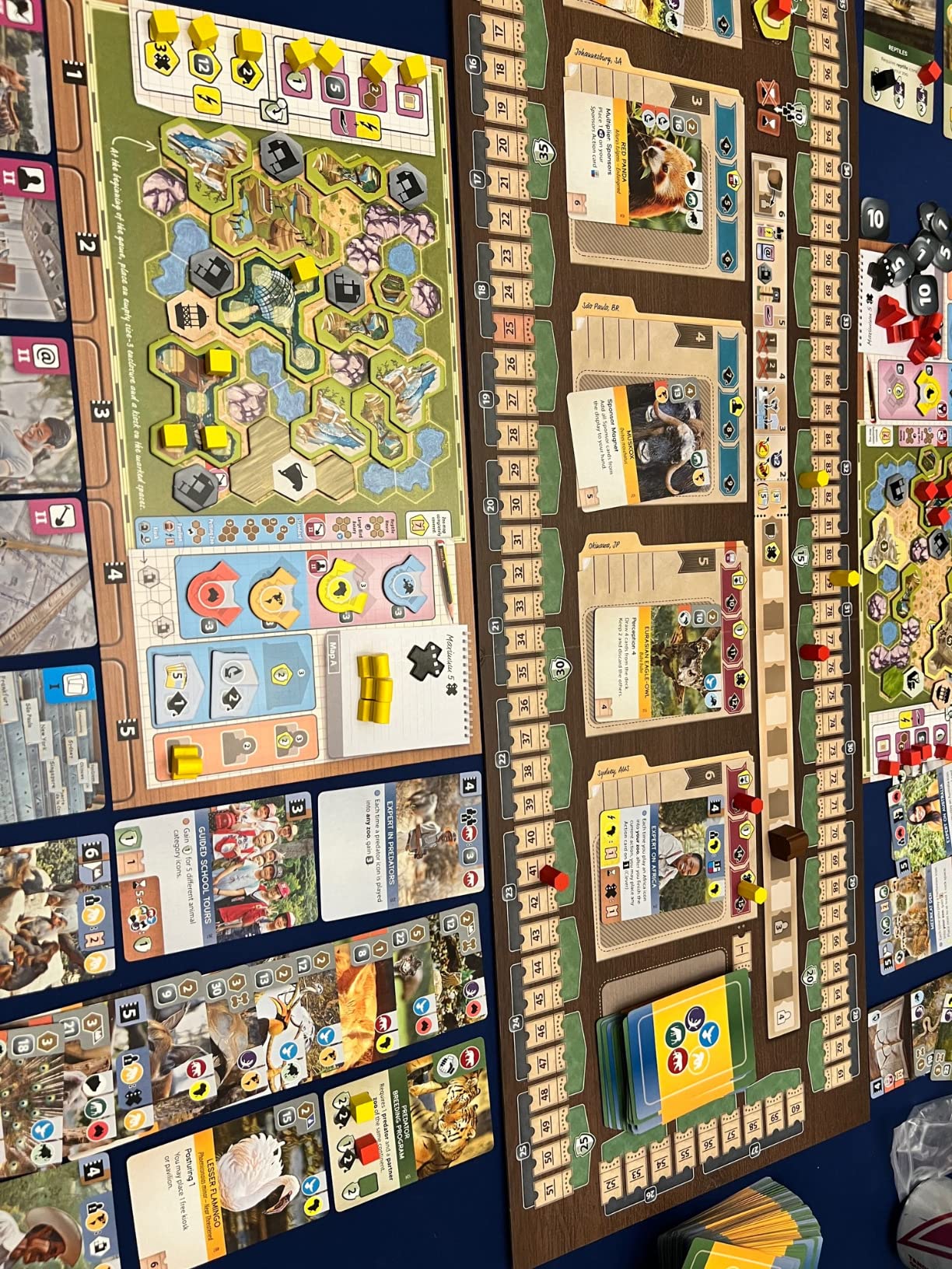 Capstone Games Ark Nova Zoo Management Strategy Board Game customer photo 1