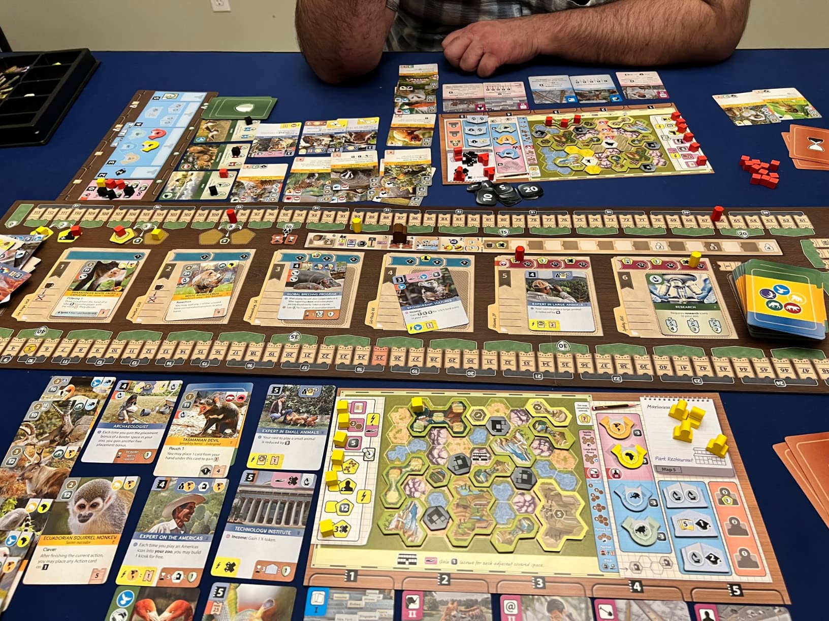 Capstone Games Ark Nova Zoo Management Strategy Board Game customer photo 2