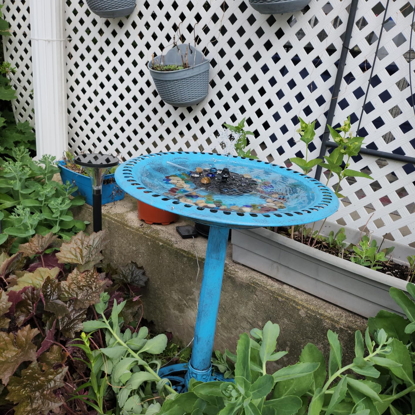 VIVOHOME Bird Bath with Solar Fountain for Outside, Pedestal, Blue | Solar-Powered Pump, Weather-Resistant Polyresin, 20-Inch Bowl, for Outdoor/Garden, Bird-Friendly, Easy to Clean customer photo 1