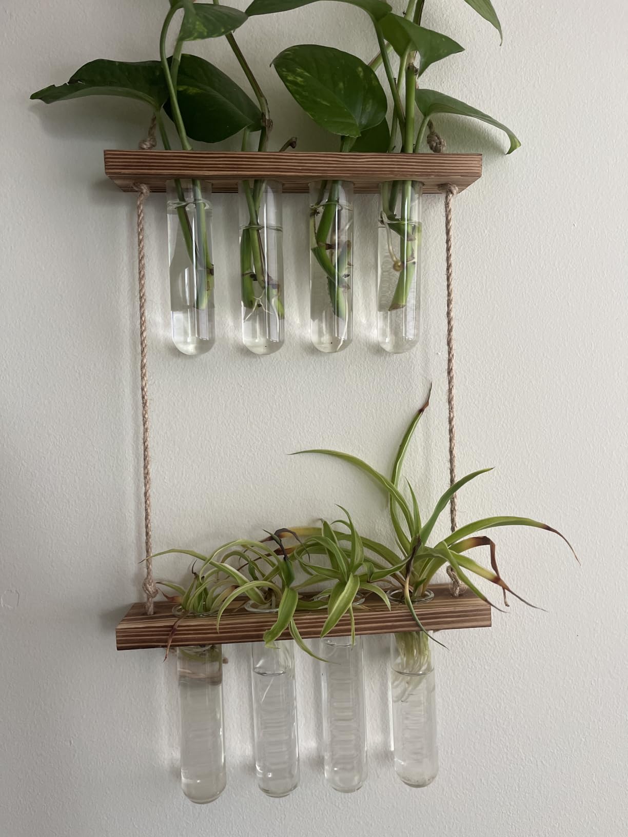 Hyindoor Wall Hanging Planter Terrarium 2 Tired Test Tube Vase Glass Planter Plant Propagation Station Plant Hangers of Rope with Wooden Stand and 8 Tubes for Hydroponic Plant Cutting customer photo 1