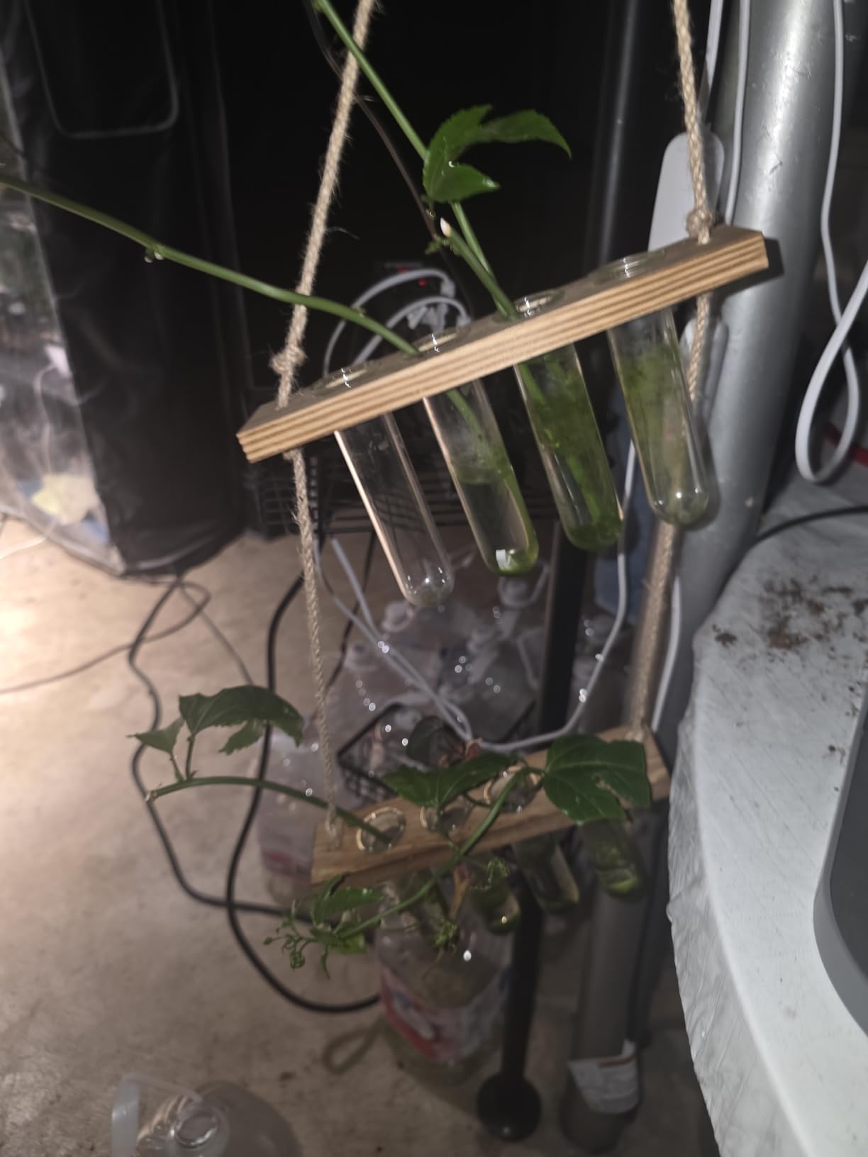 Hyindoor Wall Hanging Planter Terrarium 2 Tired Test Tube Vase Glass Planter Plant Propagation Station Plant Hangers of Rope with Wooden Stand and 8 Tubes for Hydroponic Plant Cutting customer photo 2