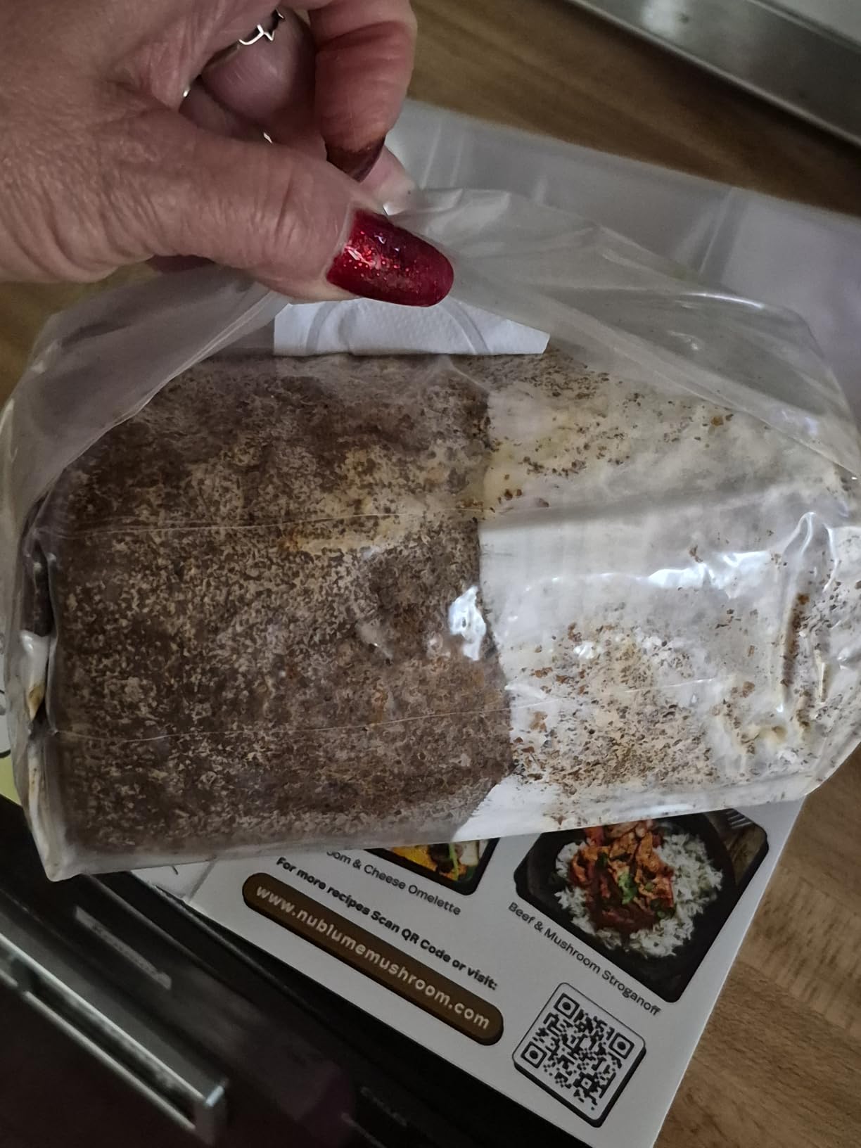 BloomBox Blue Oyster Mushroom Grow Kit - Spray & Grow - Pre-Inoculated Indoor Mushroom Farm - Beginner Friendly customer photo 1