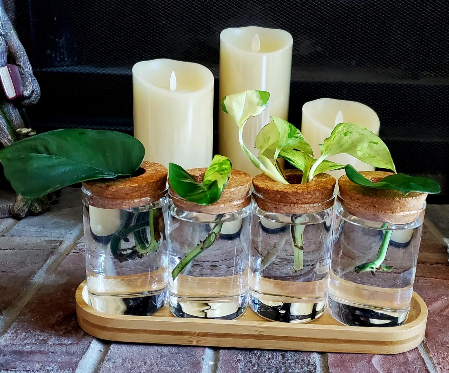 Dahey Plant Propagation Terrarium Desktop Glass Planter Station Water Planting Glass Vase with Lid and Wooden Stand for Propagating Hydroponic Plants Centerpiece Office Home Garden Decor, 3 Pcs customer photo 1