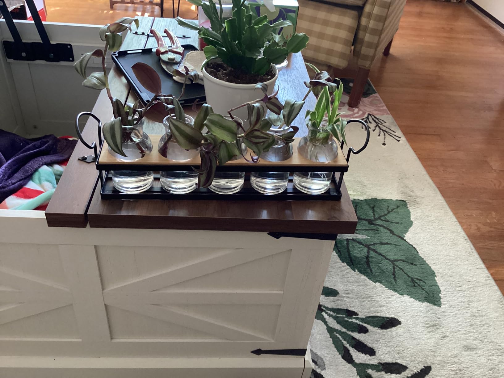 THYGIFTREE Plant Propagation Stations with Metal Stand, Tabletop Plant Terrarium for Propagating Hydroponic, Retro Glass Planter Flower Vase Home Kitchen Office Decor Gifts, 5 Jars customer photo 2