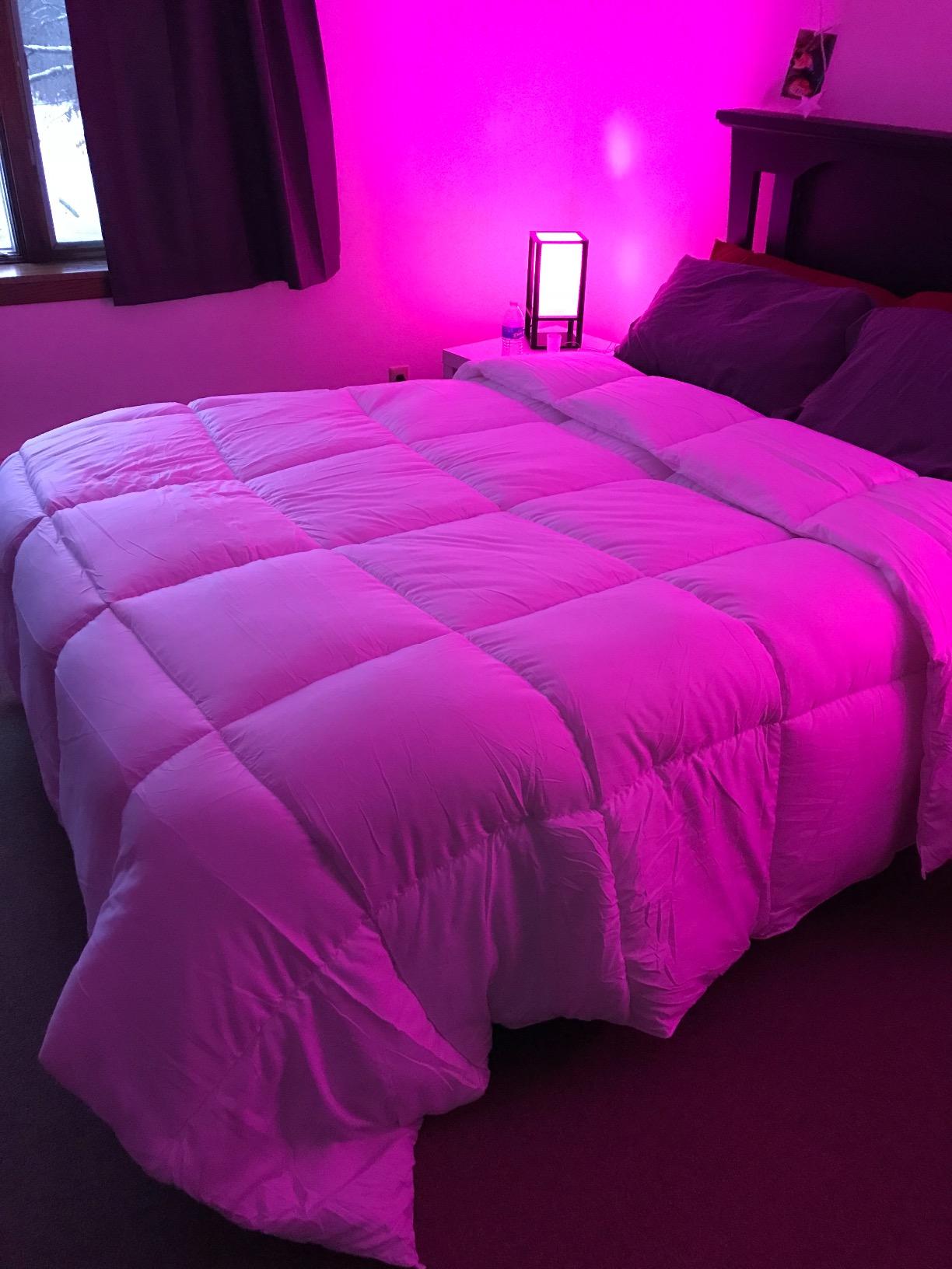 Utopia Bedding Queen Comforter, Duvet Insert, Light Grey, 88 x 88 Inches | Soft and Fluffy Down Alternative Bed Comforter, All Season, Breathable, Corner Tabs, Box Stitched, Durable, Machine Washable customer photo 1