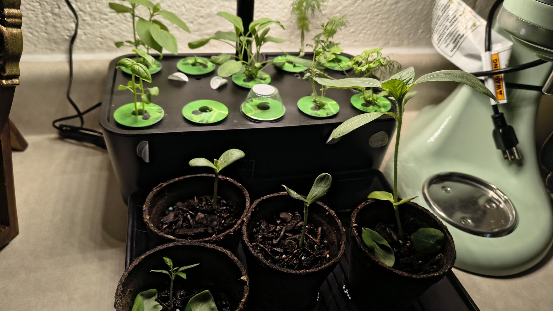 Ahopegarden Indoor Garden Hydroponics Growing System: 10 Pods Plant Germination Kit Herb Vegetable Growth Lamp Countertop with LED Grow Light customer photo 1