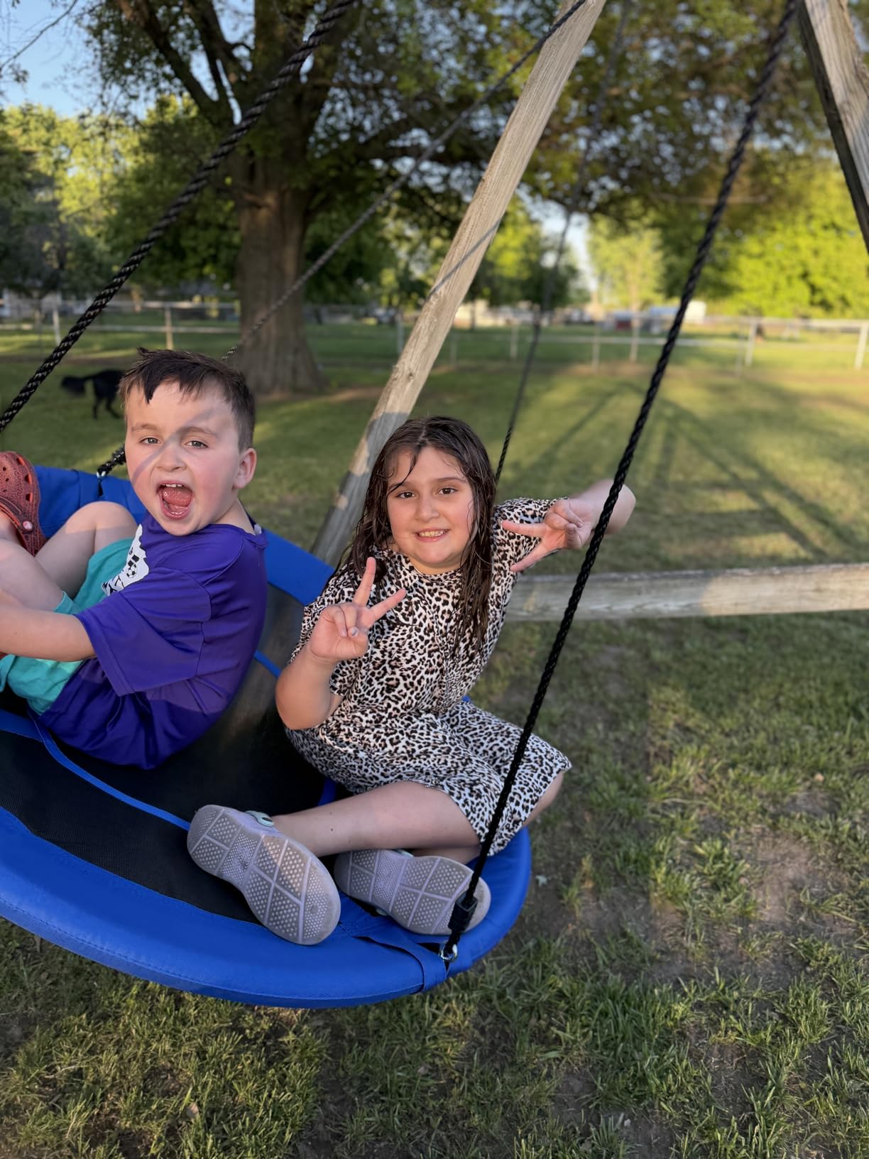 SUPER DEAL 40 Inch Tree Swing, Outdoor Kids Flying Saucer Swing, 800lbs Weight Capacity Waterproof Textilene Fabric Durable Steel Frame with Adjustable Hanging Ropes for Playground, Backyard customer photo 1