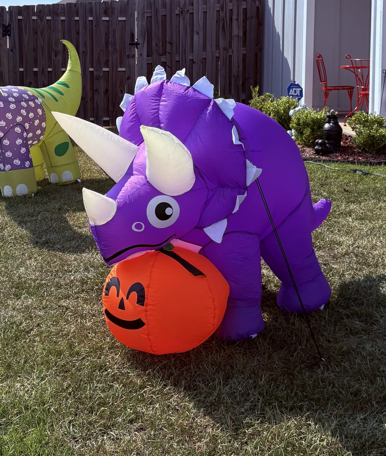 GOOSH 5 FT Width Halloween Inflatables Dinosaur Outdoor Decorations Blow Up Yard Dinosaur with Pumpkin with Built-in LEDs for Garden Lawn Indoor Party Decor customer photo 2